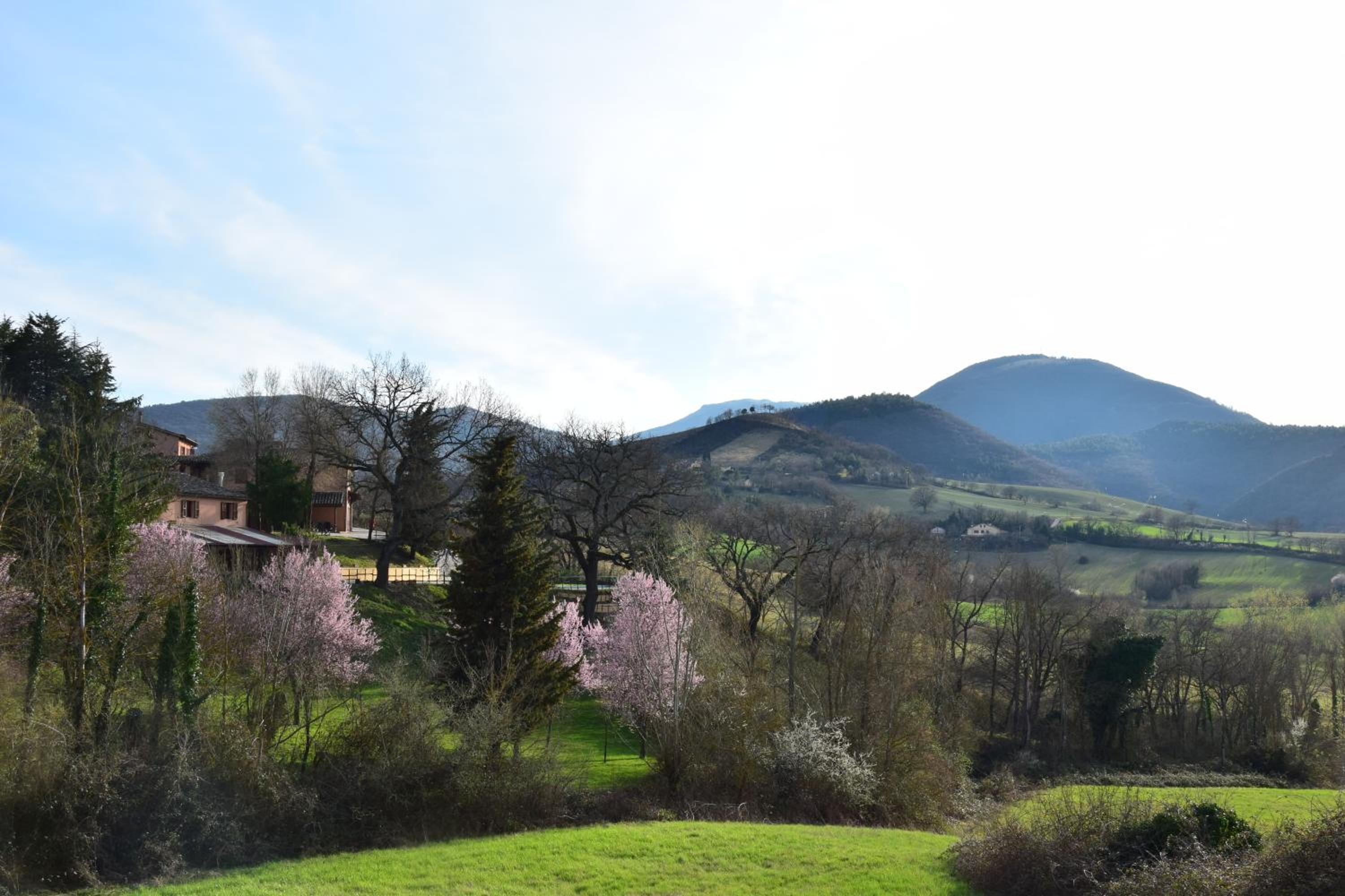 Agriturismo Gioie di Campagna view 5