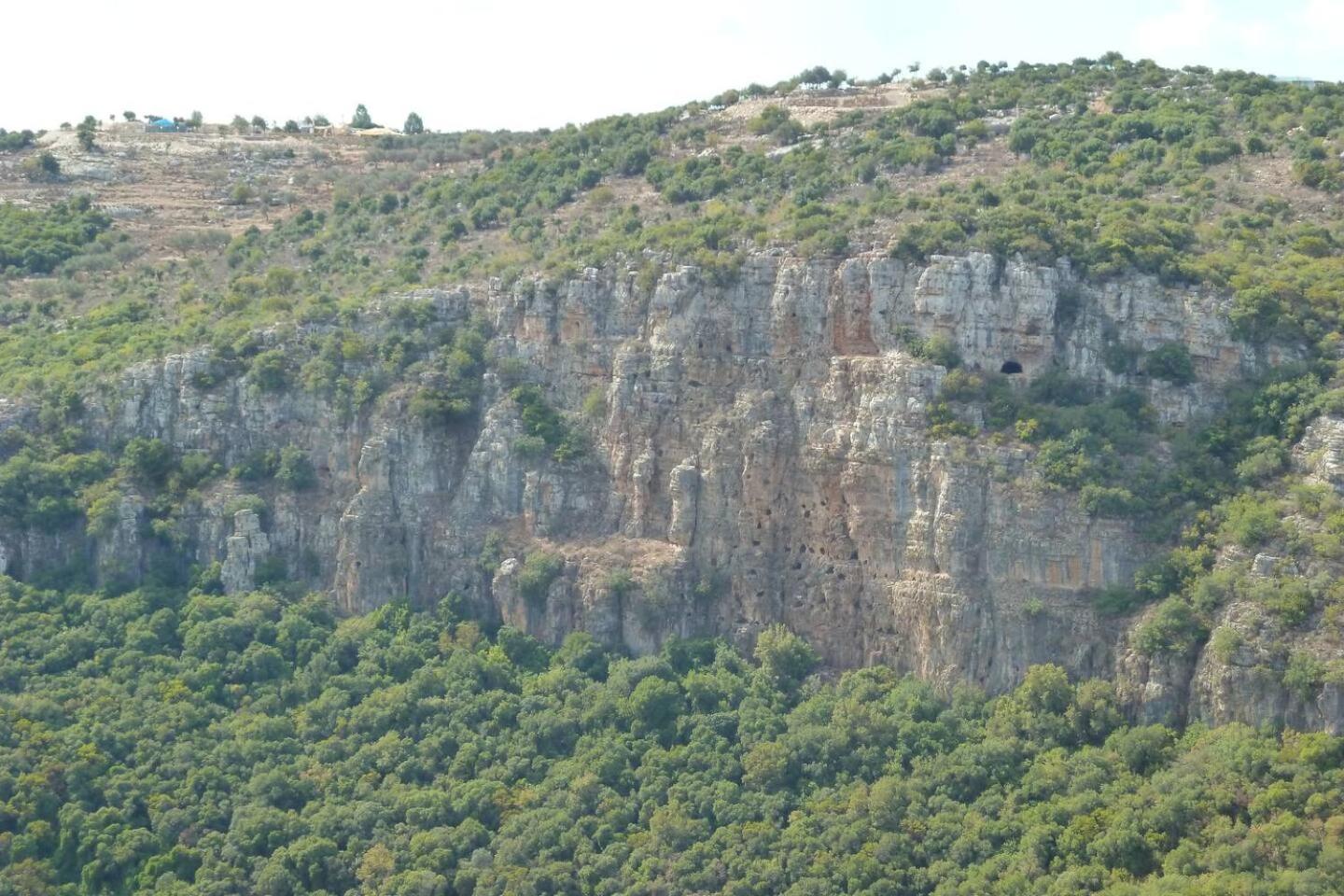 Near the King's castle