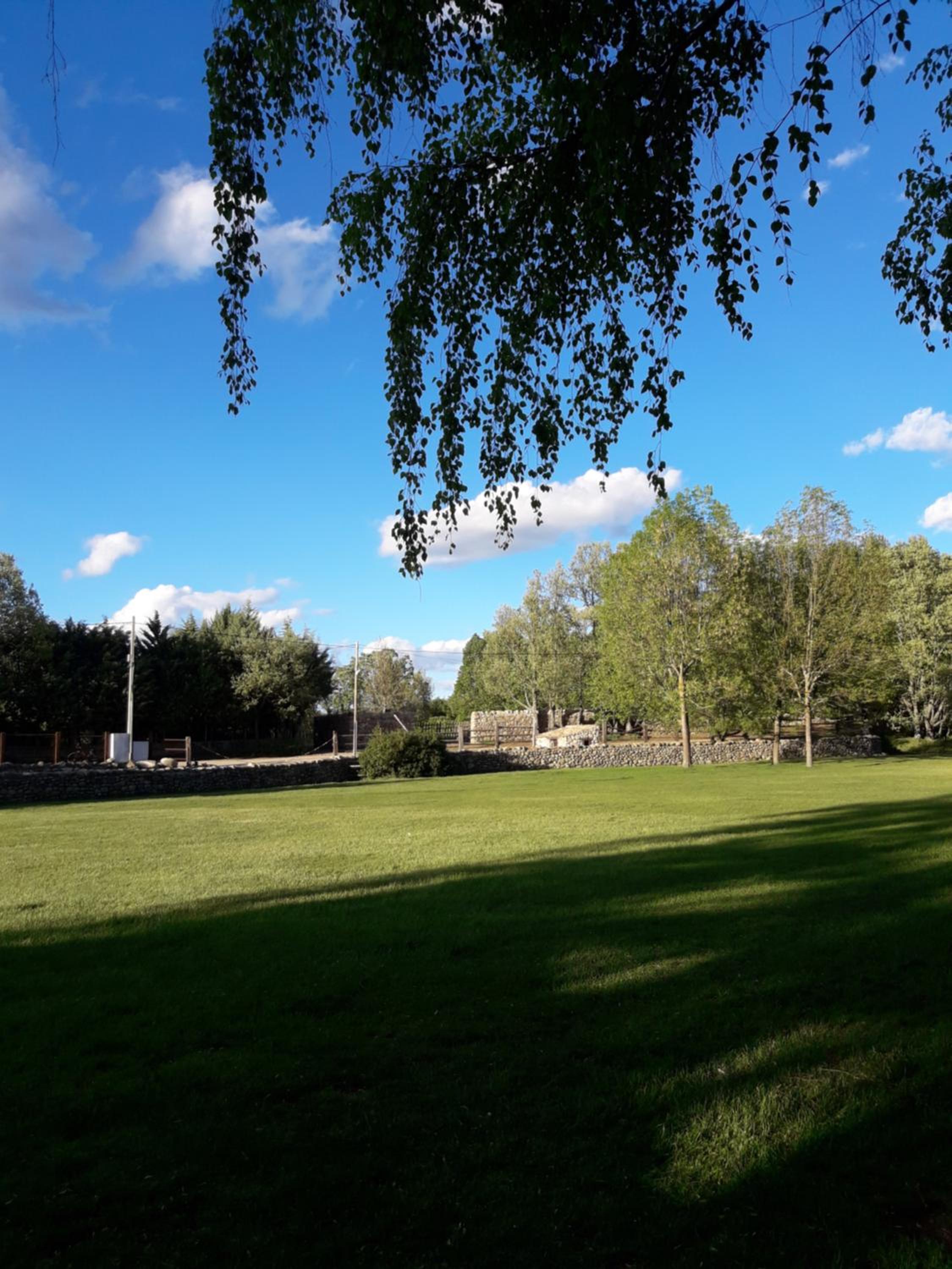 Photo 24