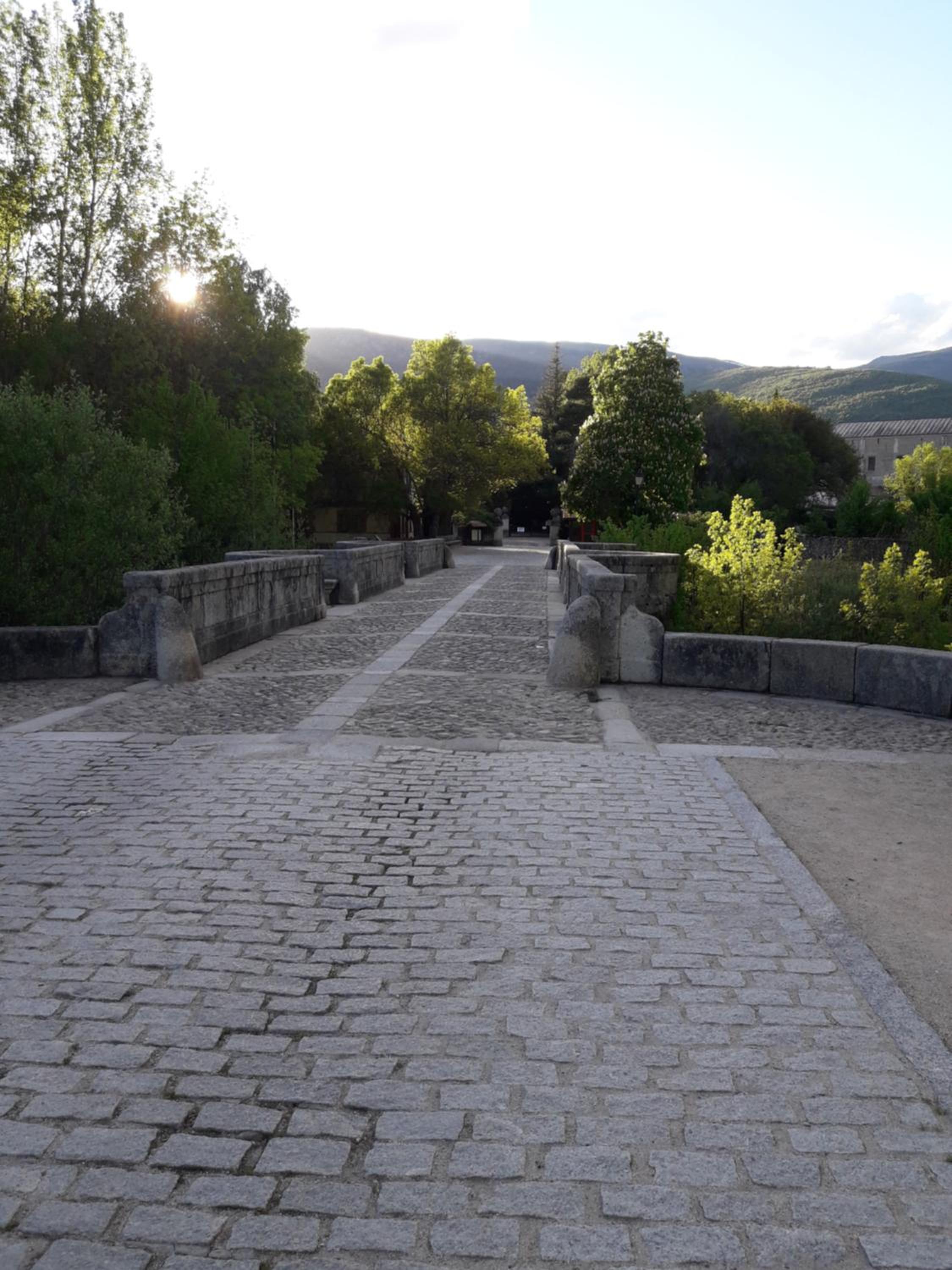Photo 27