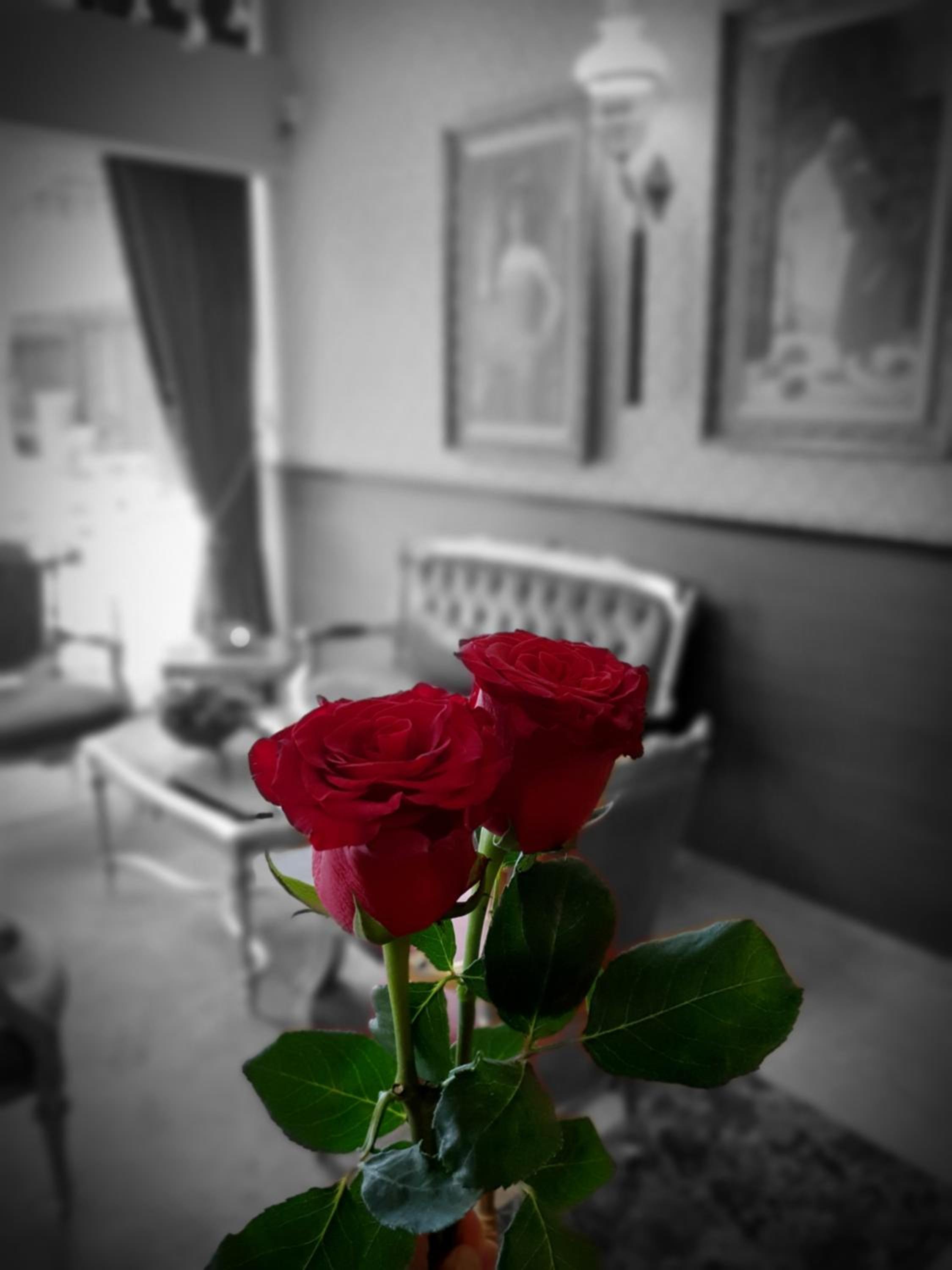 Elysion Hotel - Image 34