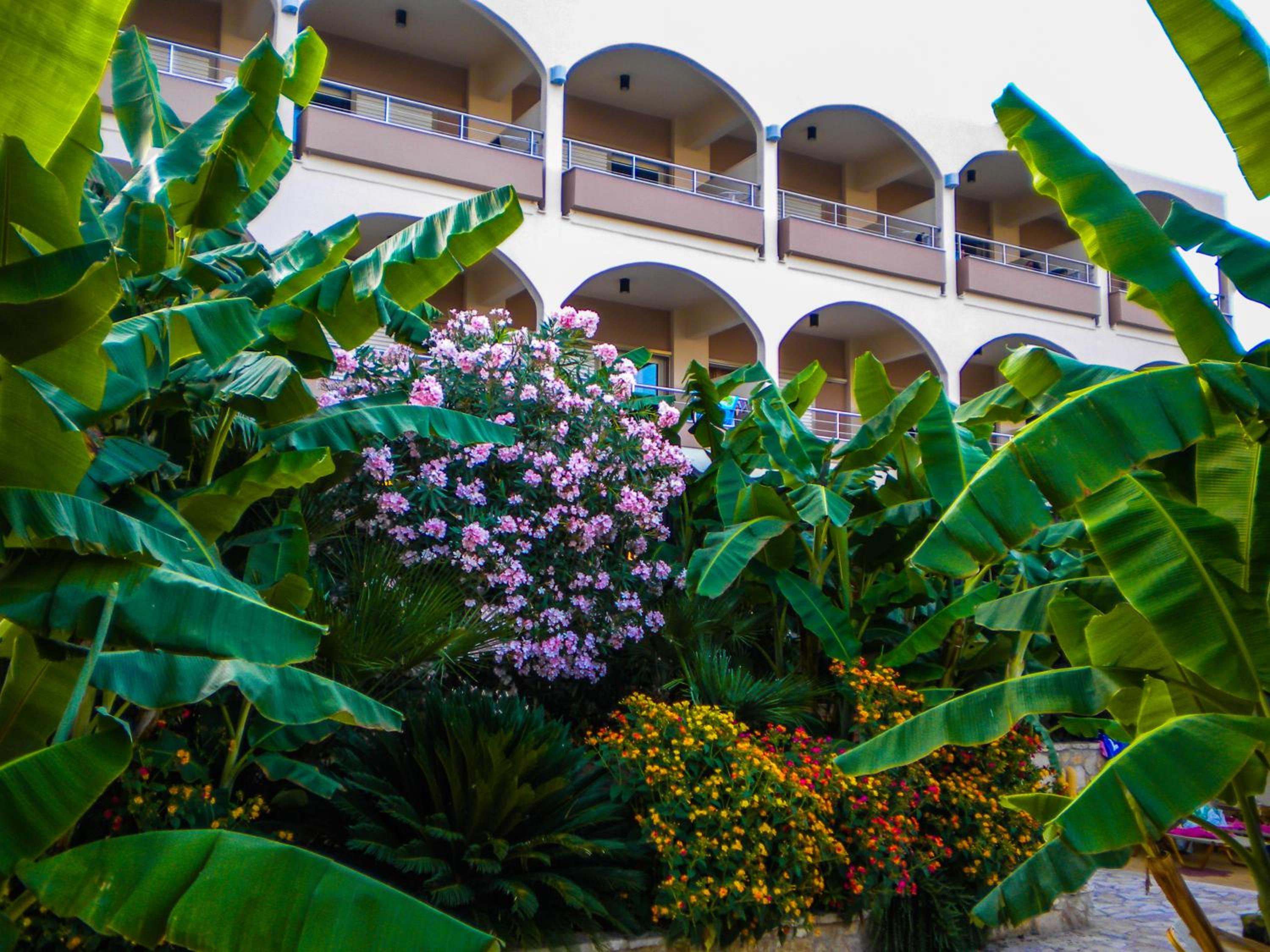 Paradise Lost Hotel-Apartments