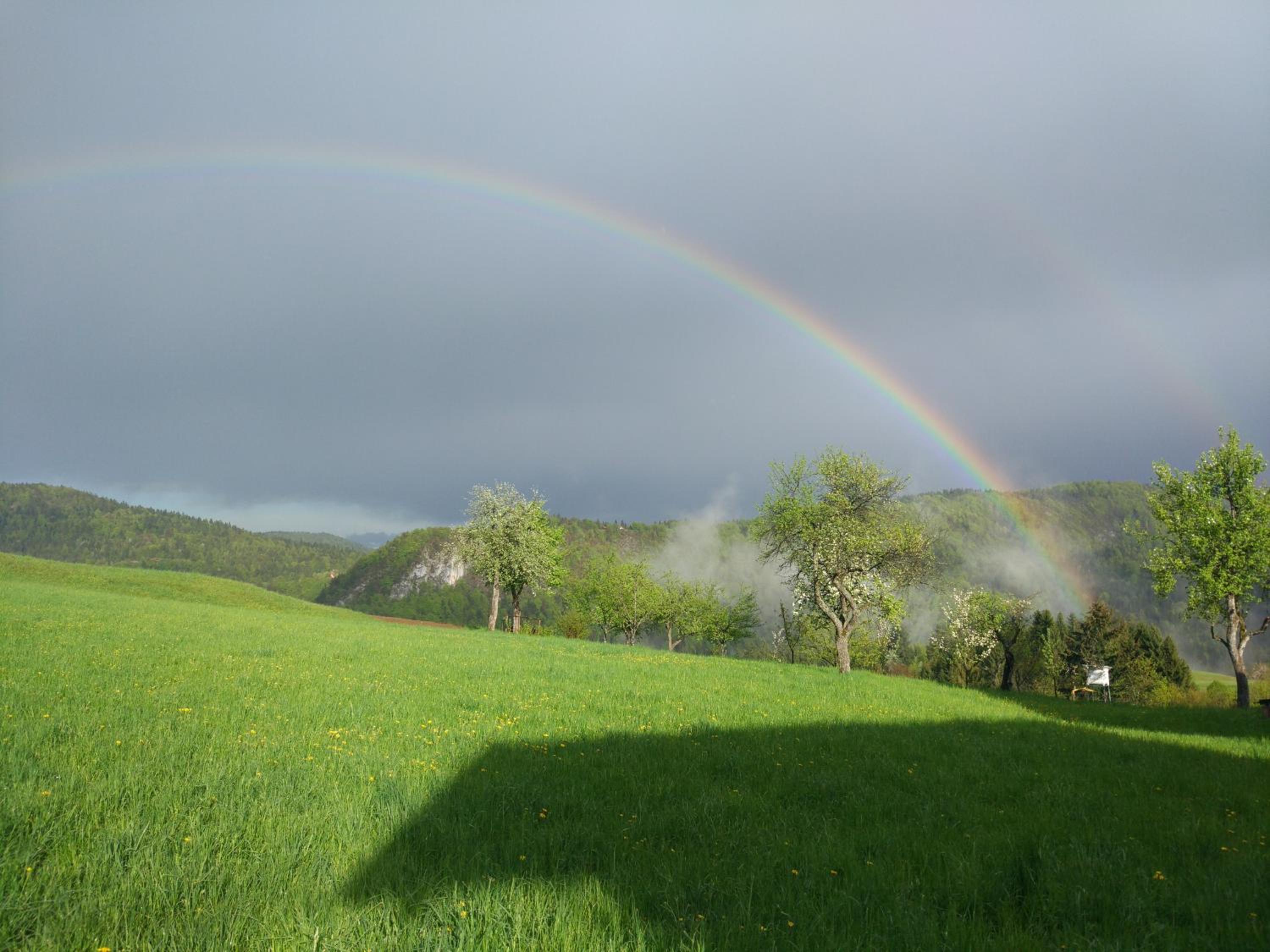 Photo 32
