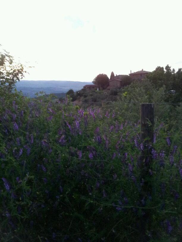Agriturismo Poggio all'Olmo view 2
