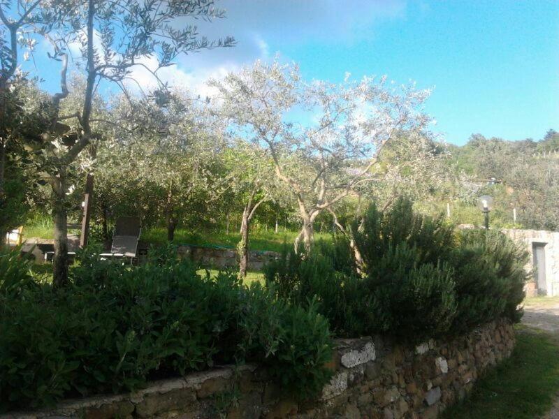 Agriturismo Poggio all'Olmo view 4
