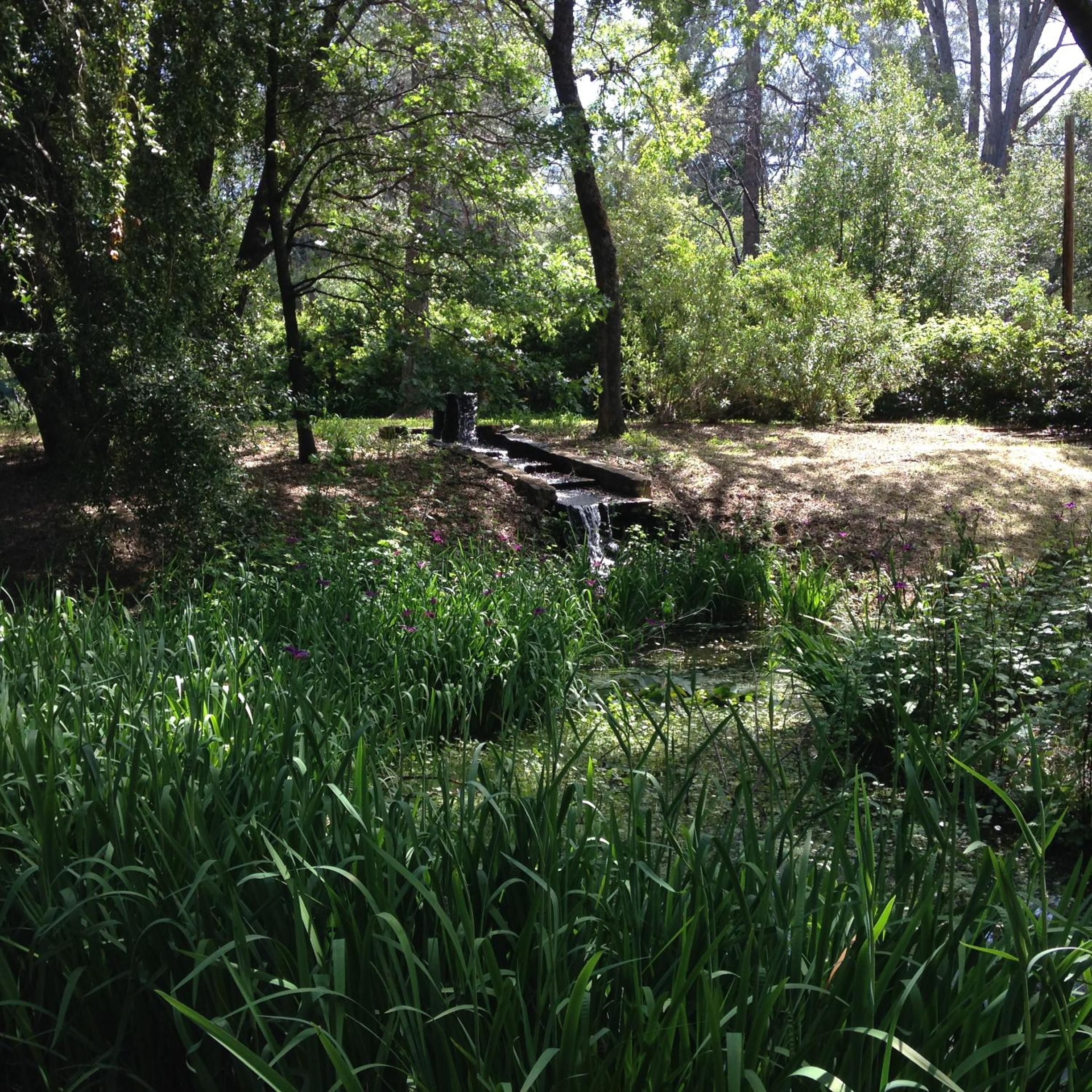 Photo 7