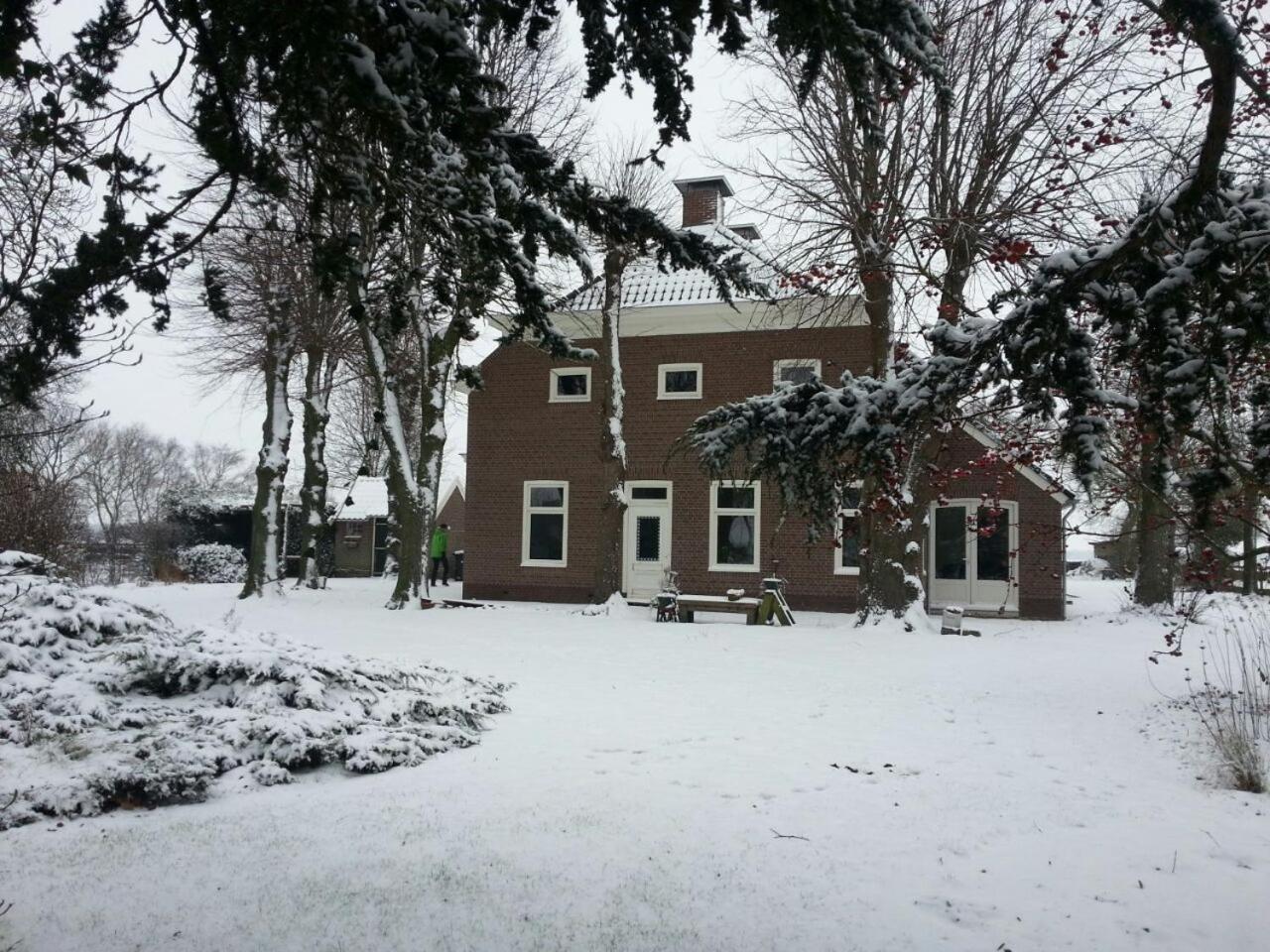 Photo 17