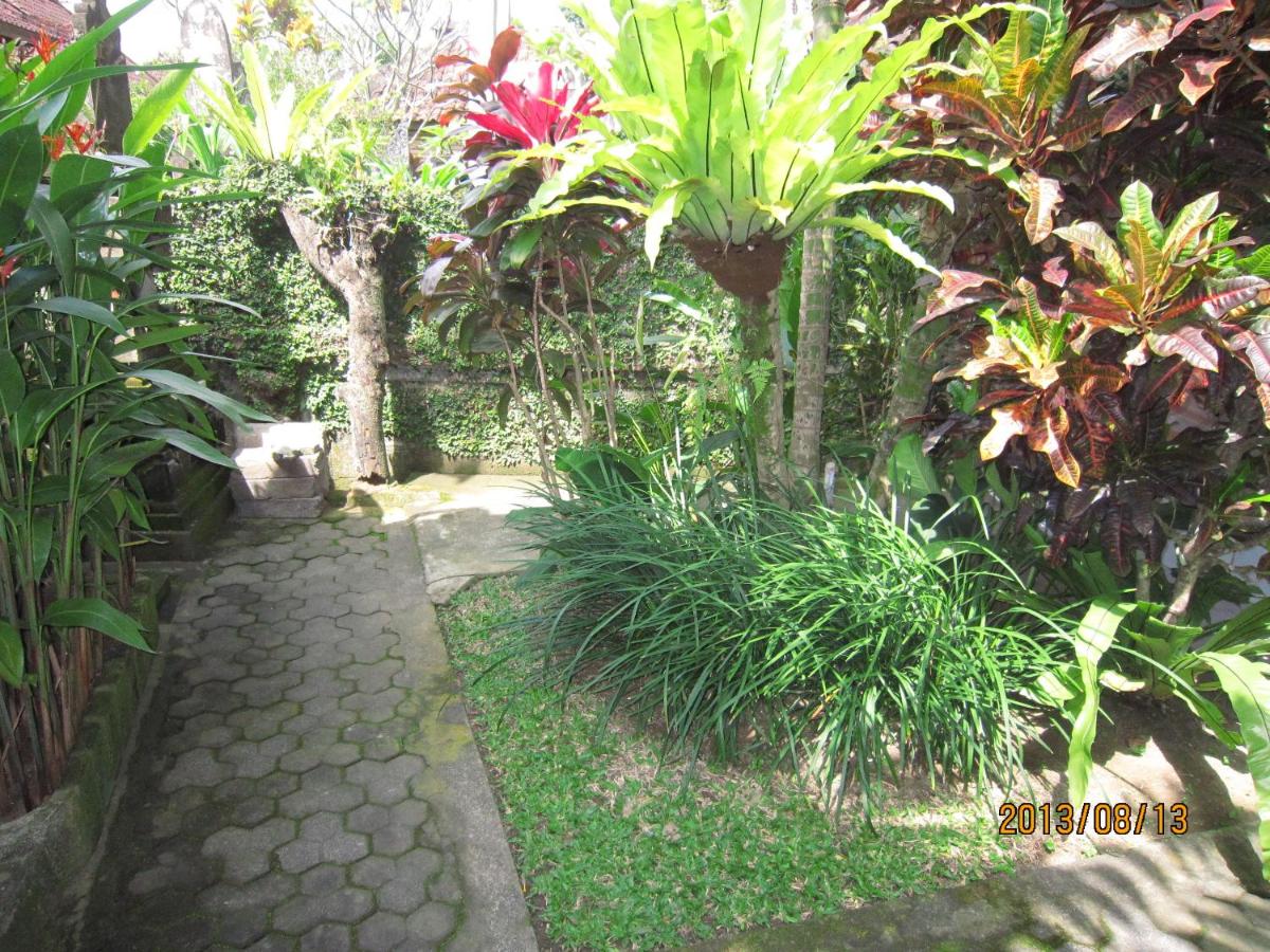 Photo 23