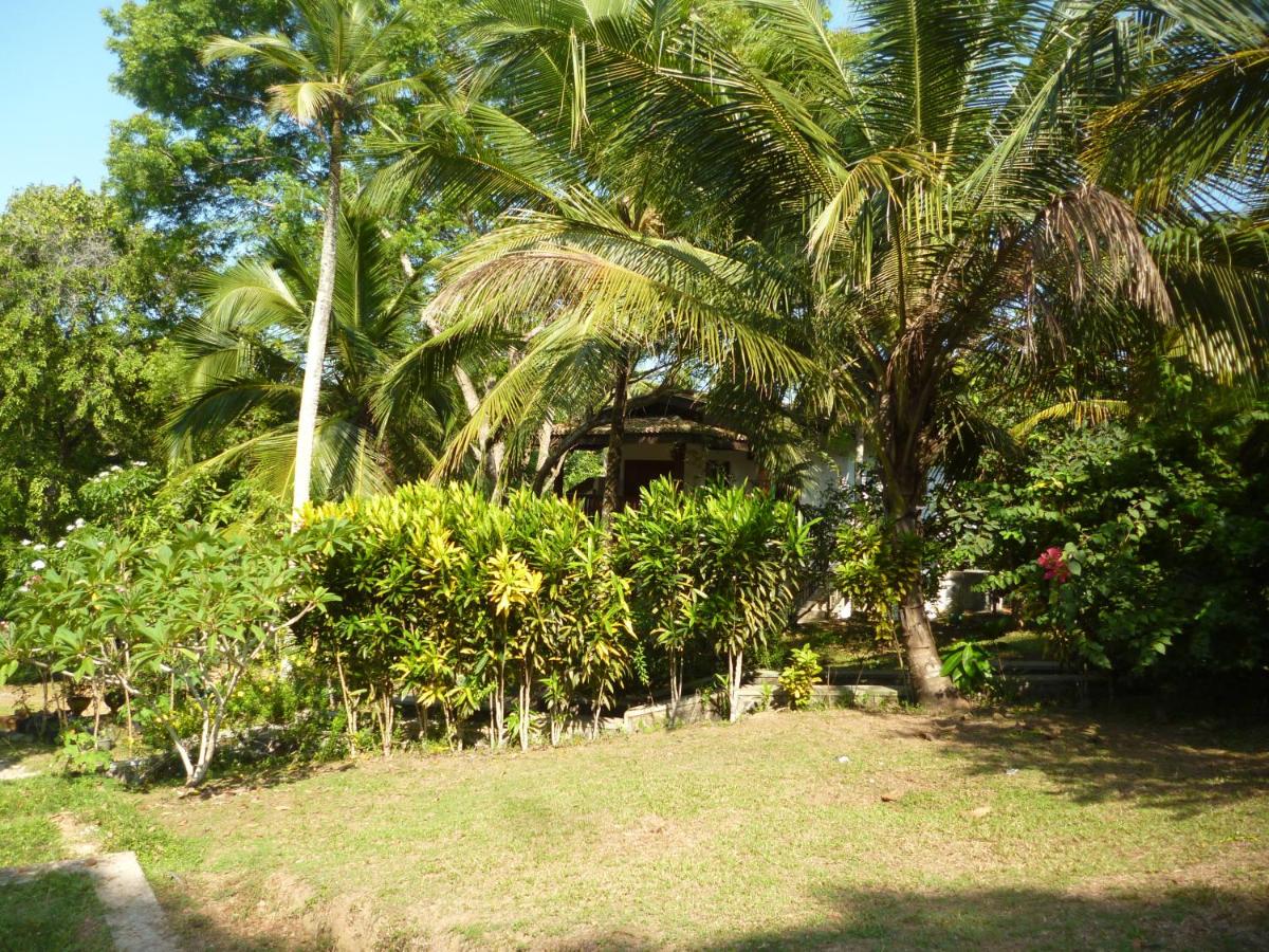 Photo 31