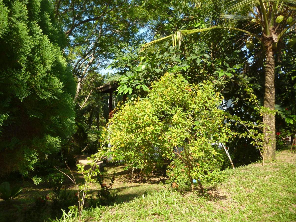 Photo 36