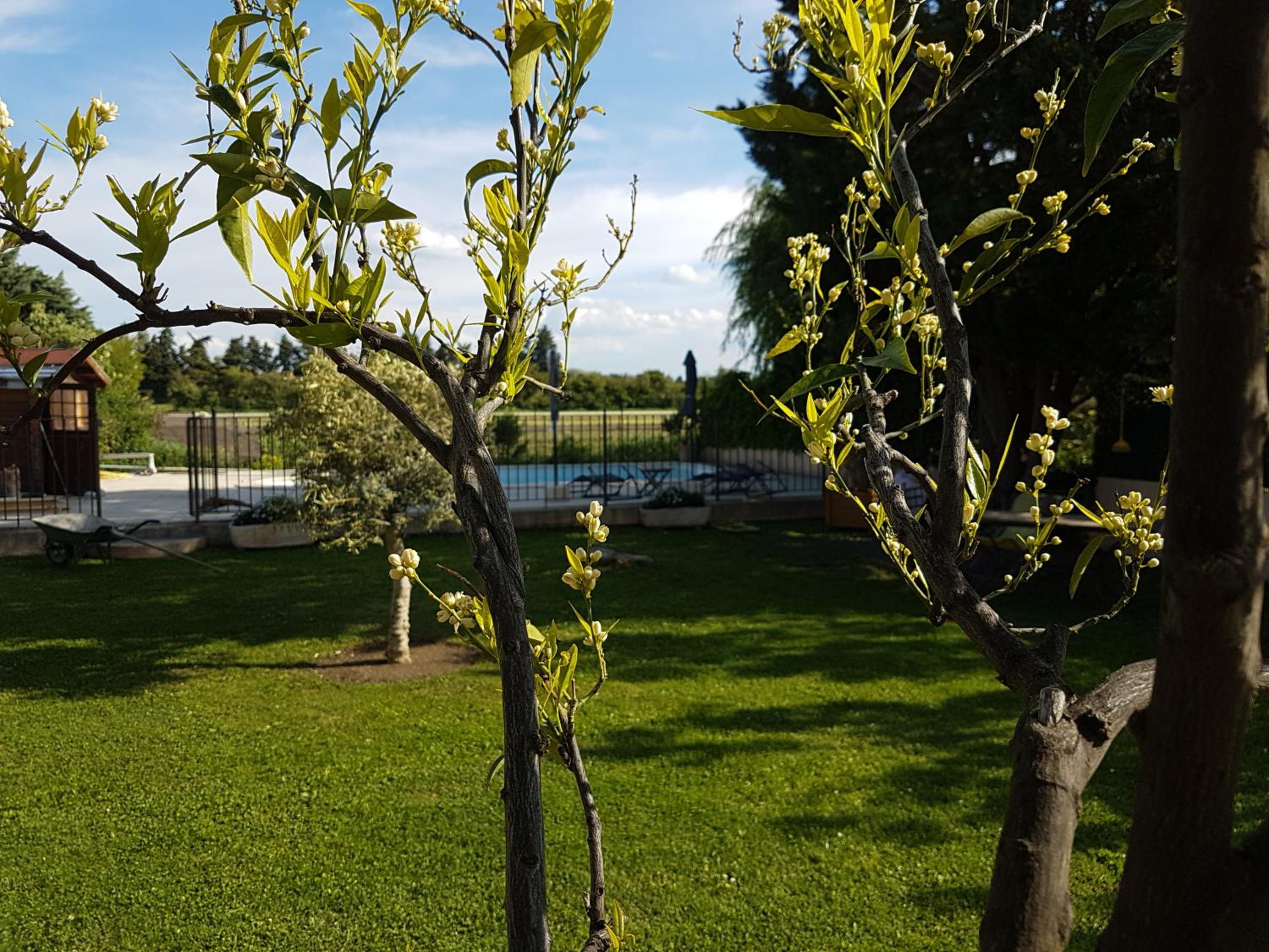 Photo 15