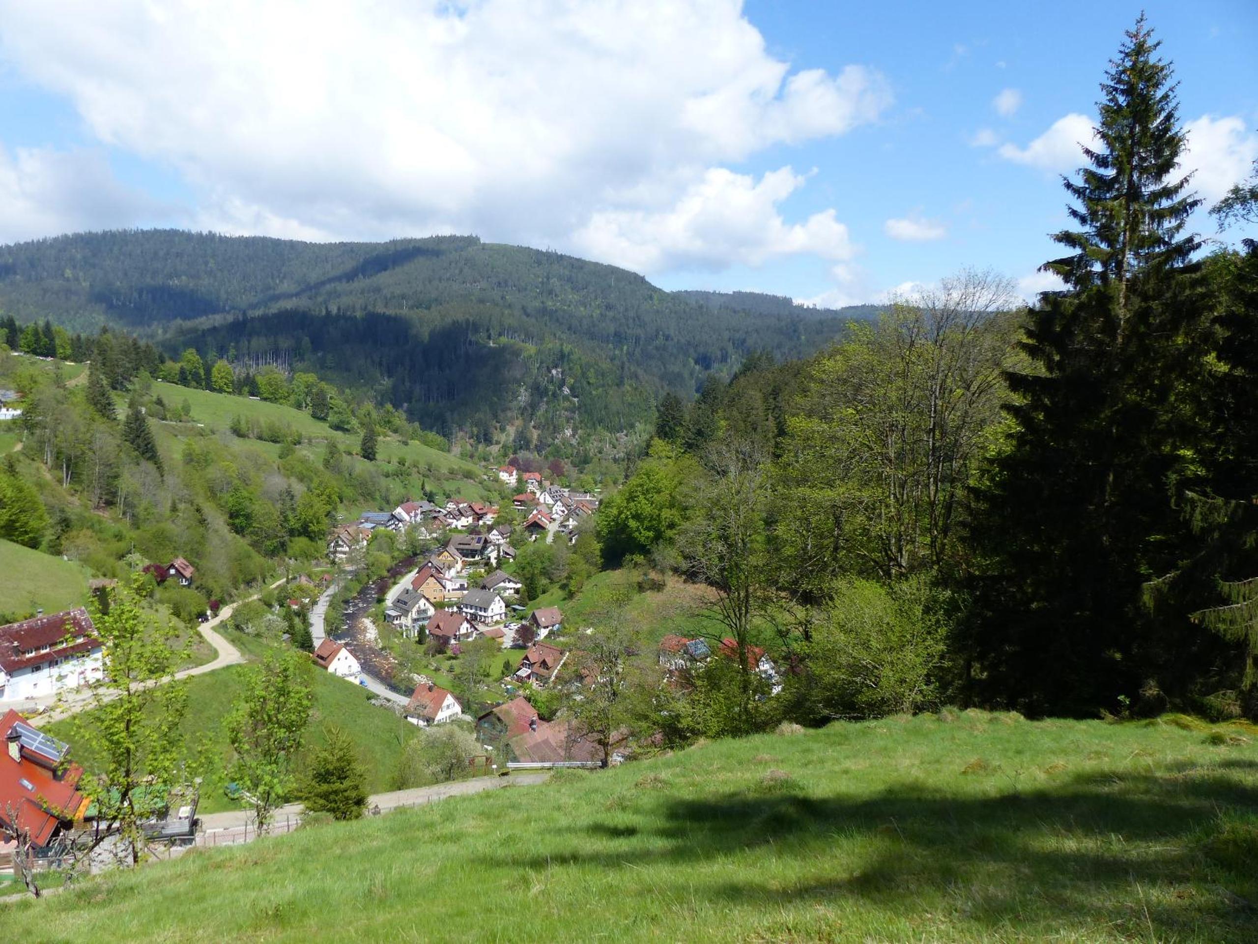 Ferienwohnungen in Schönmünzach
