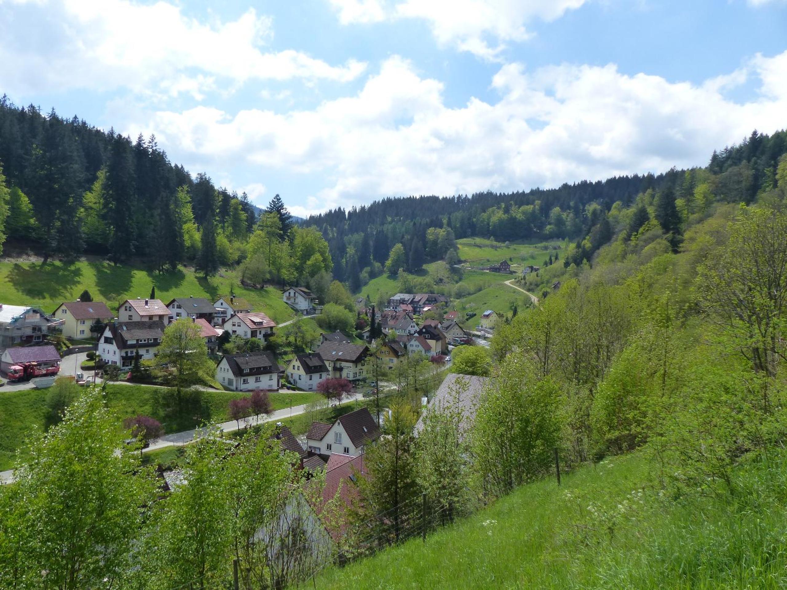 Ferienwohnungen in Schönmünzach