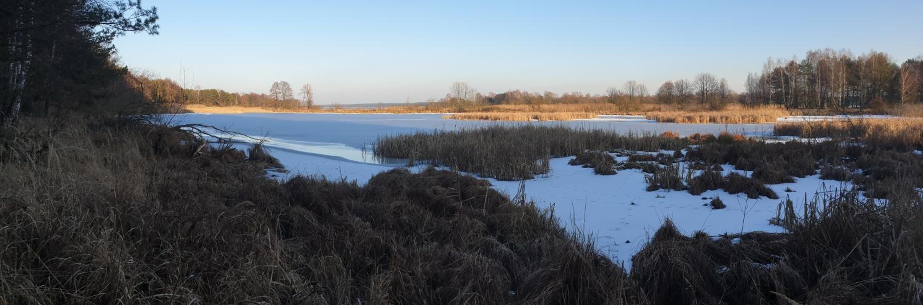 Photo 99
