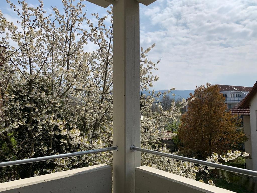 Deluxe Business City Apartments Metzingen Villa Landenberger, photo 53