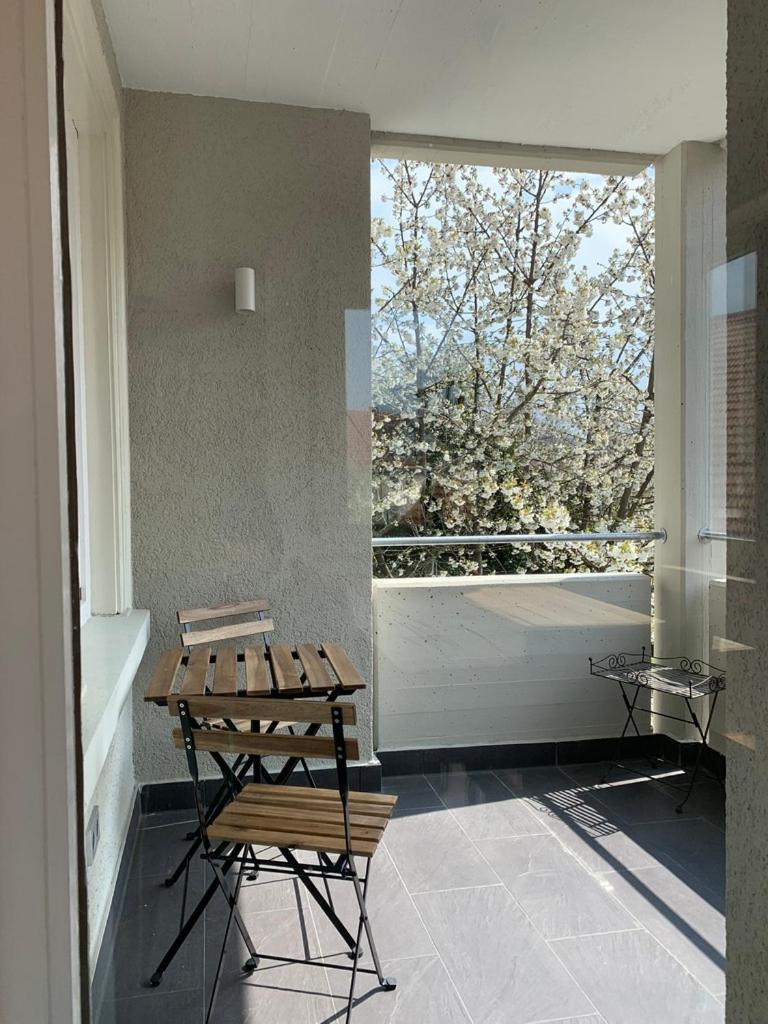 Deluxe Business City Apartments Metzingen Villa Landenberger, photo 11