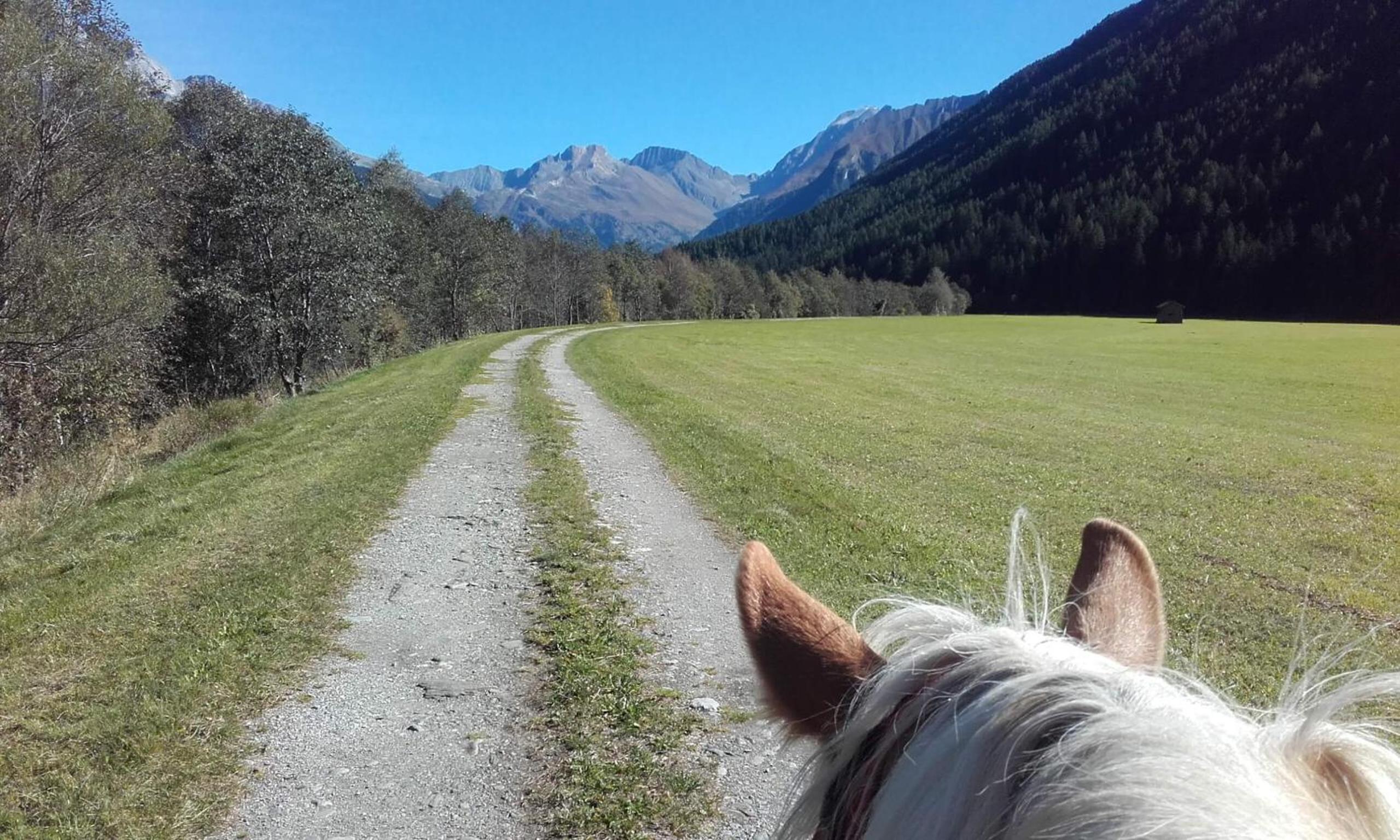 Leitenhof view 5
