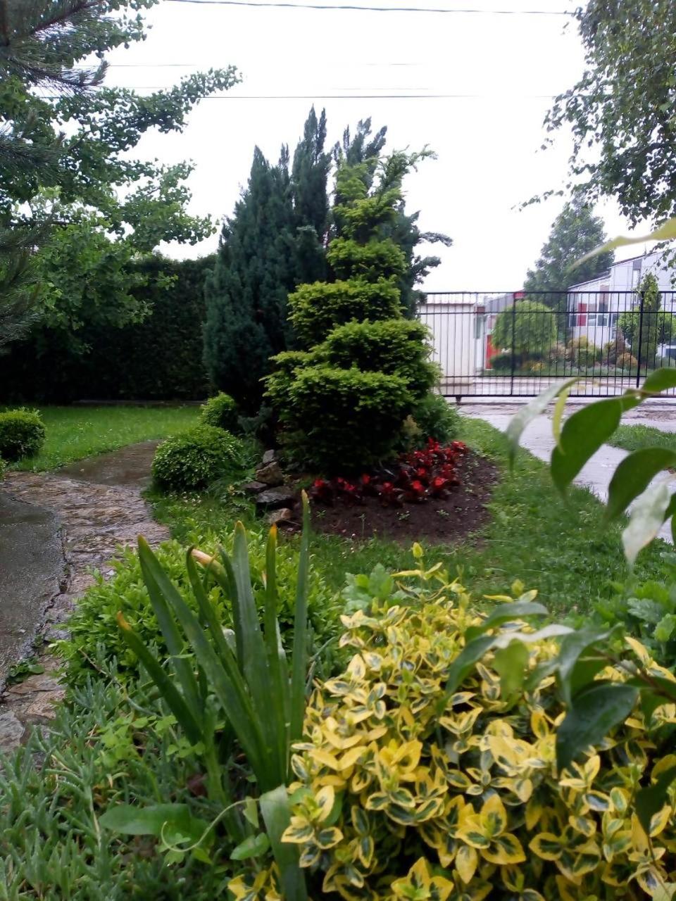 Photo 10