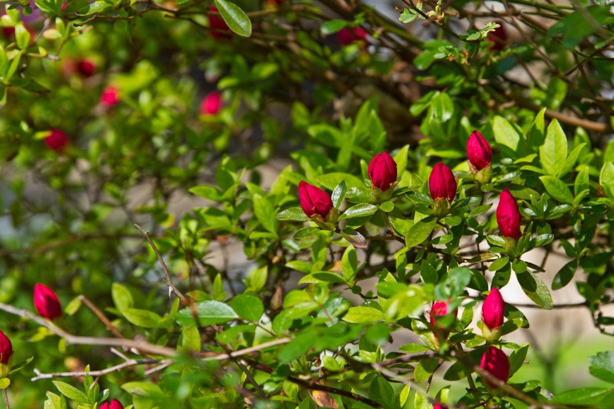 Pilgrim's Rest Bed and Breakfast - Property Image 14