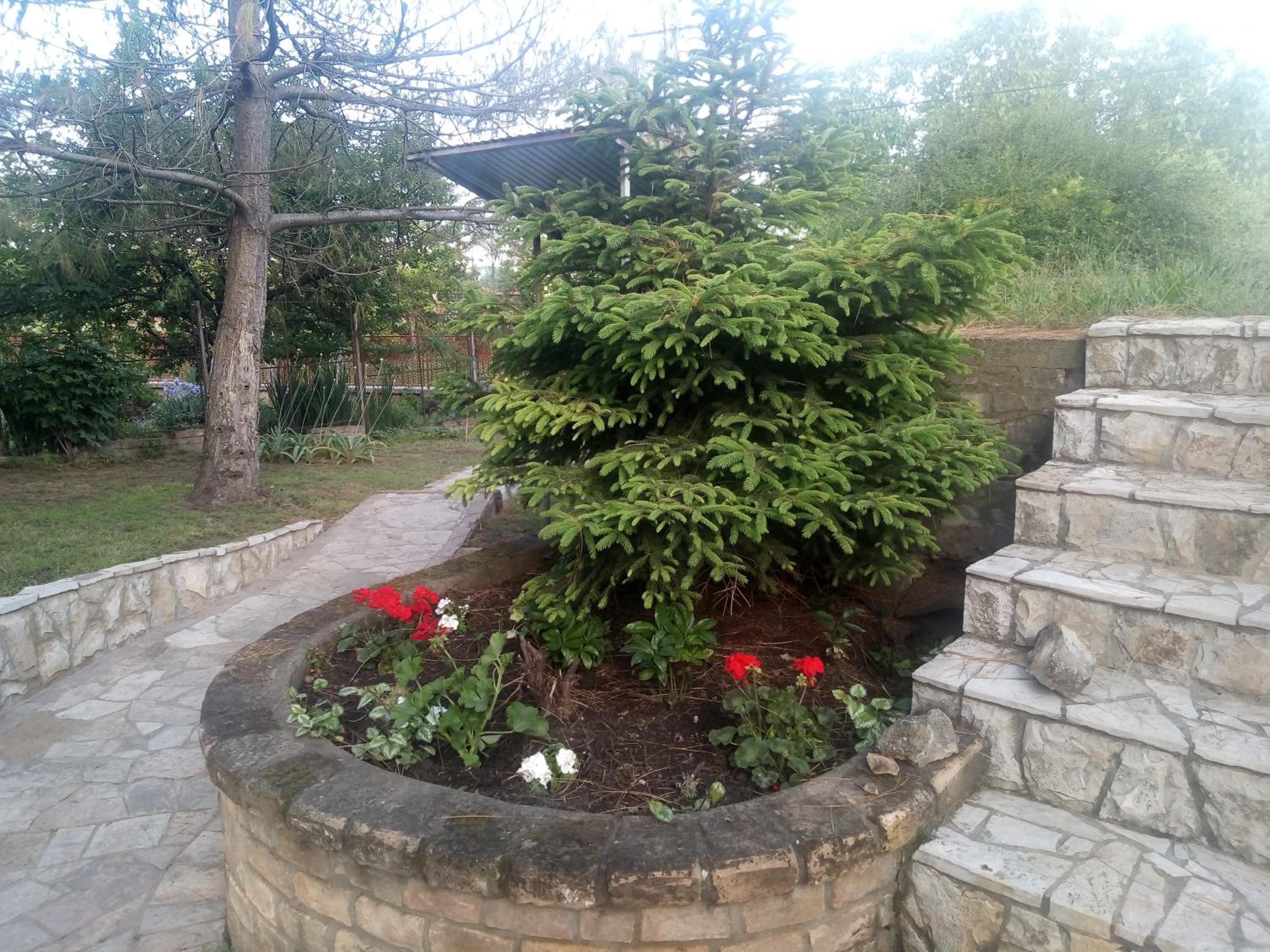 Photo 28