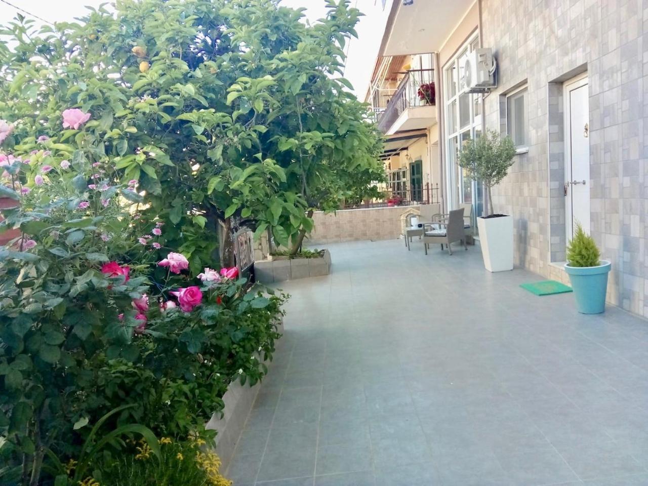 Vonitsa Loft Apartment 1 view 5