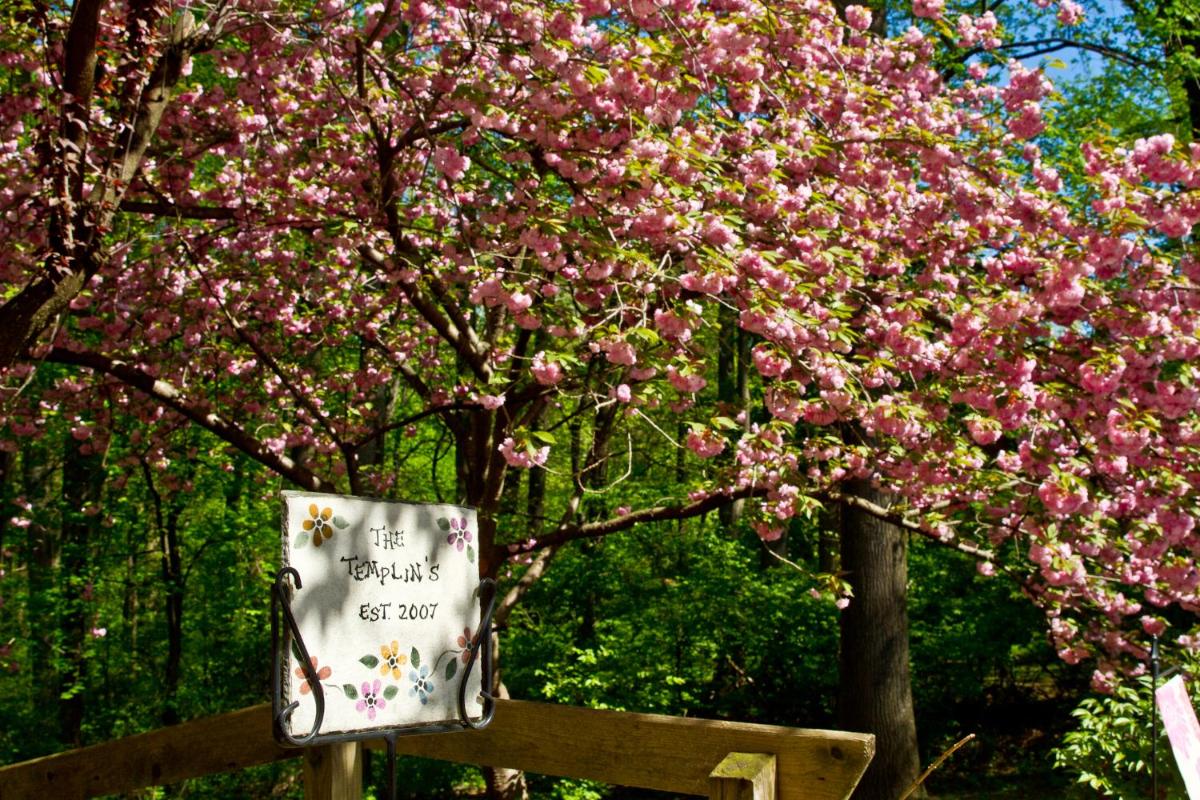 Pilgrim's Rest Bed and Breakfast - Property Image 19