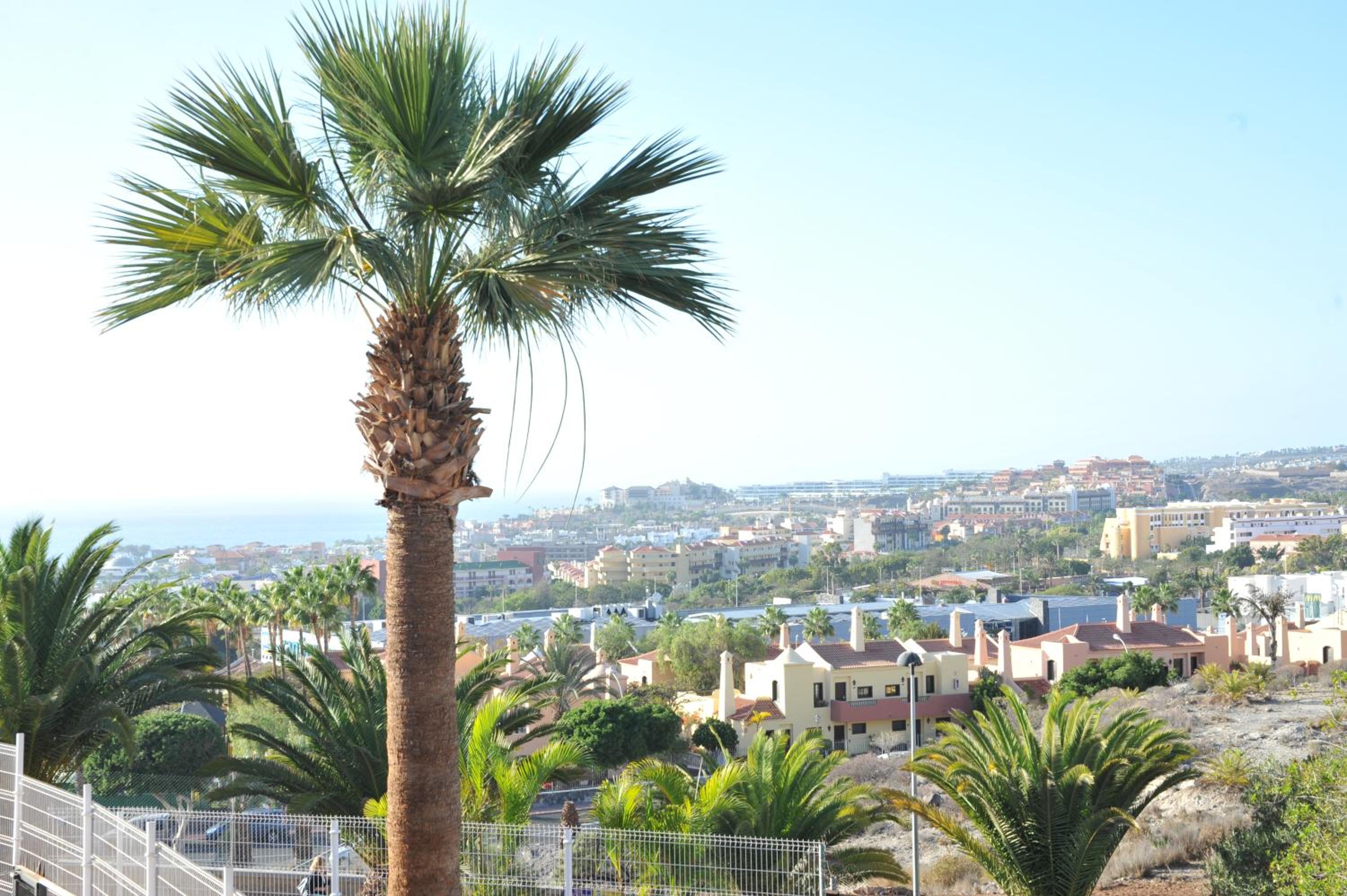 home canarias