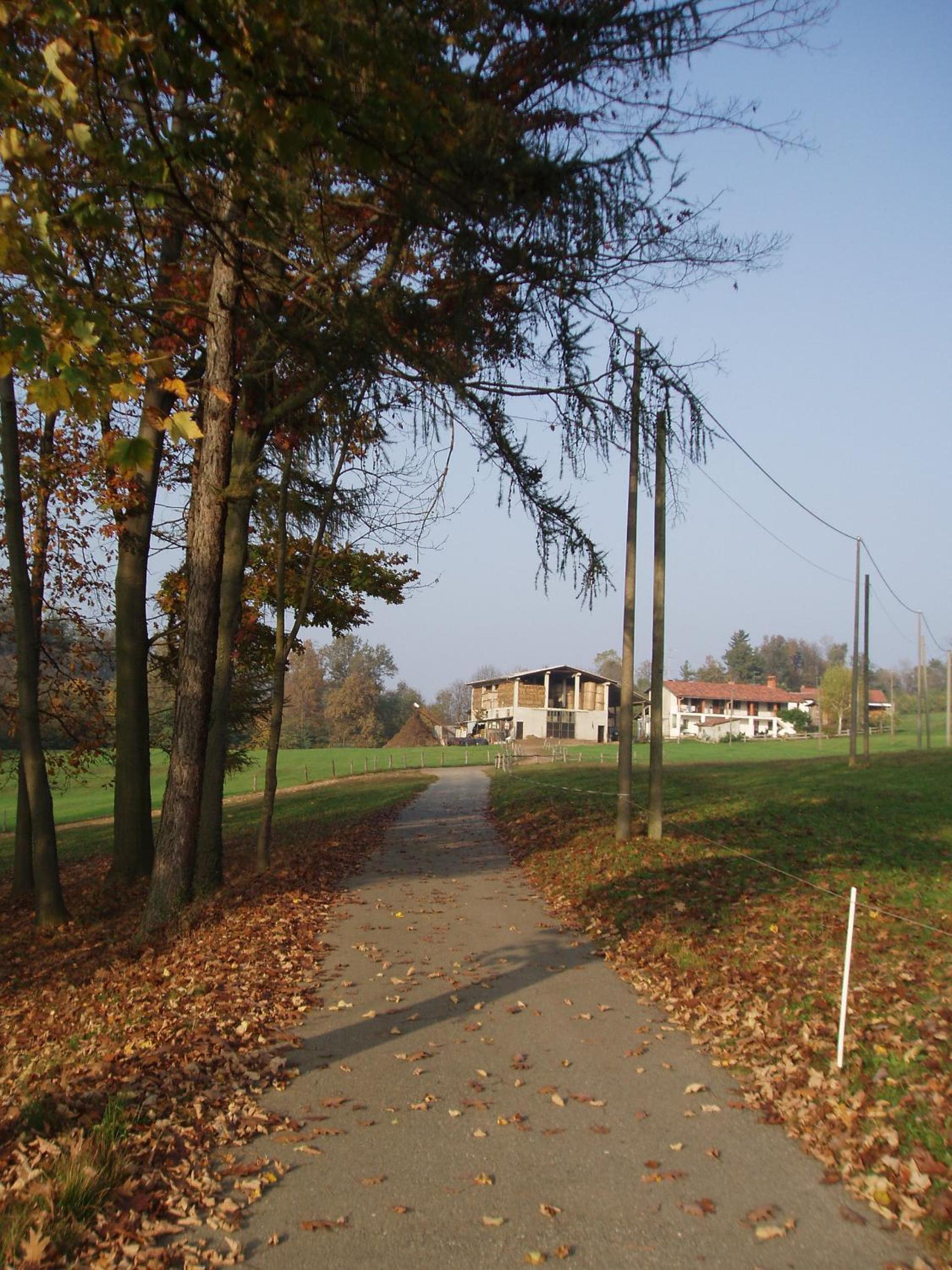 Photo 28