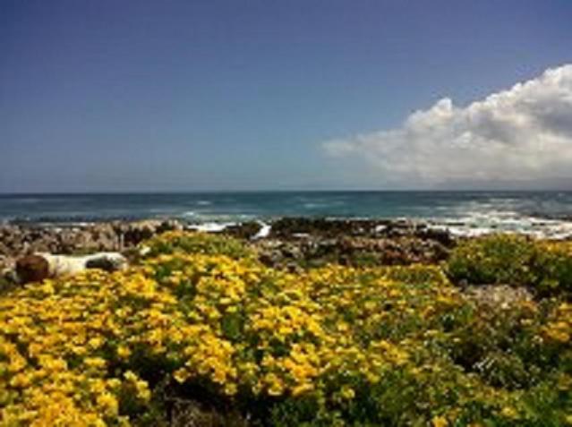 Villa Ocean Crest B&B