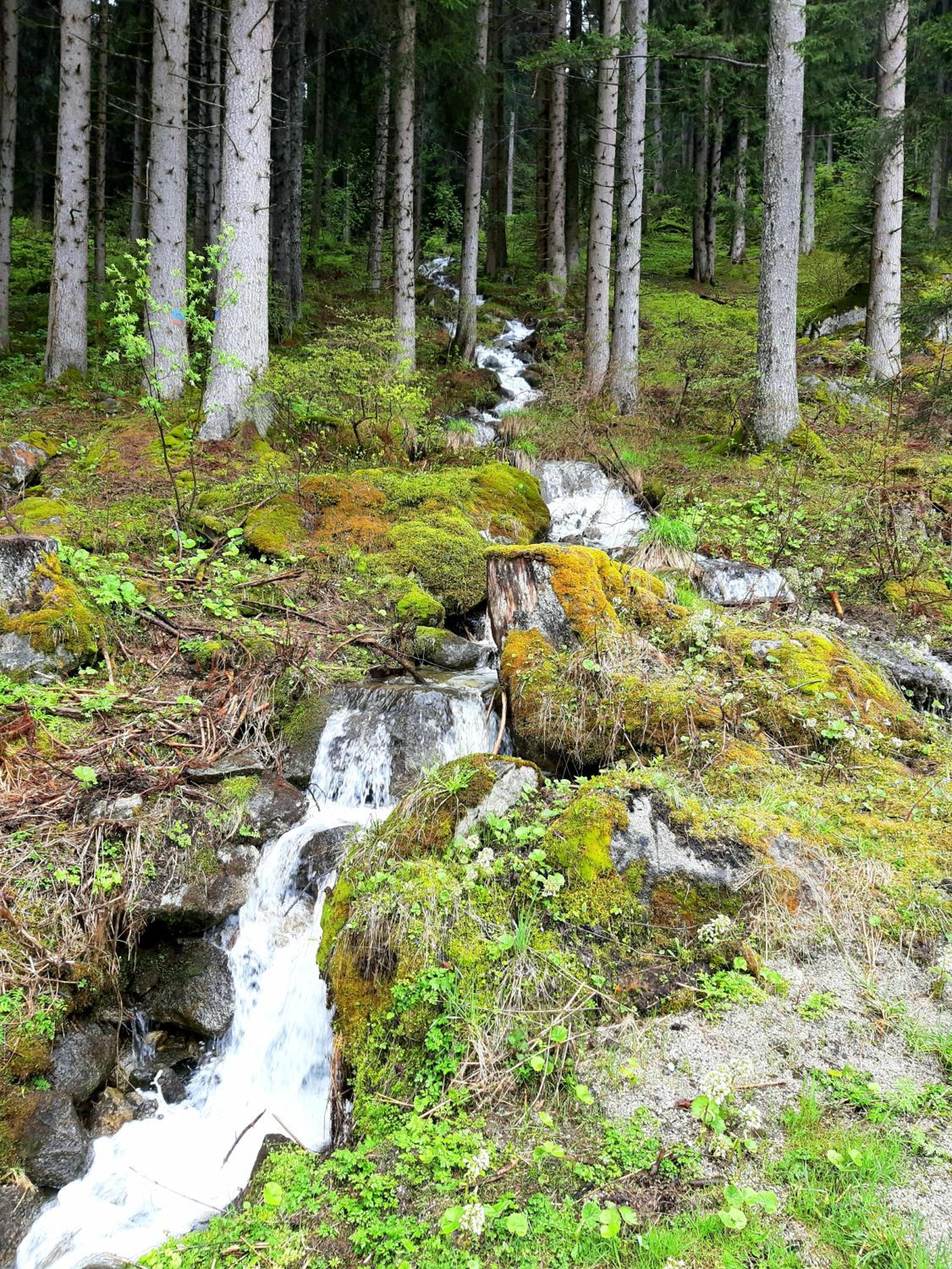 Photo 39