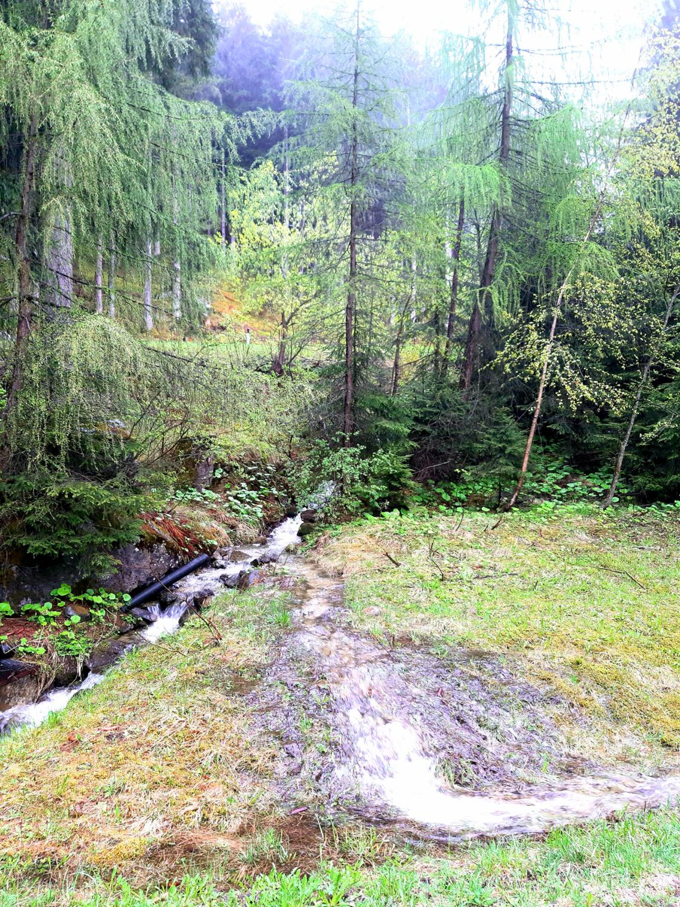 Photo 38