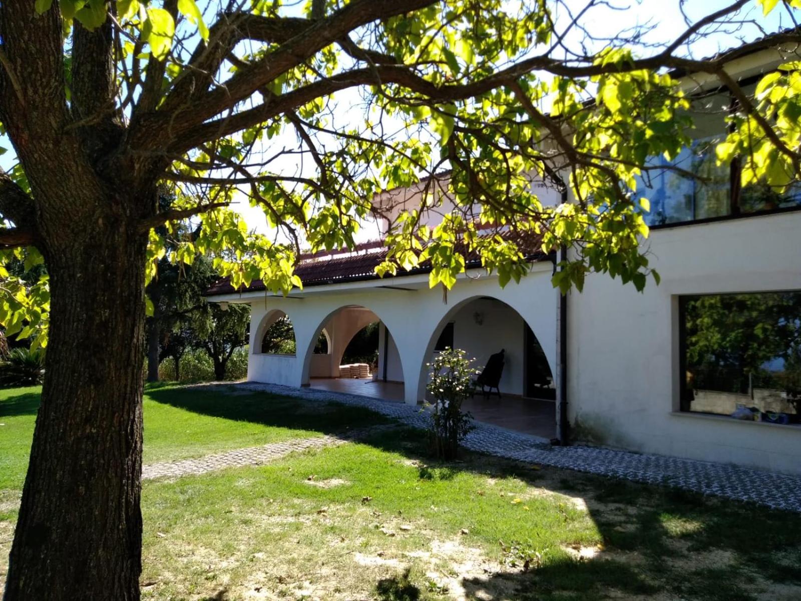 Photo 8