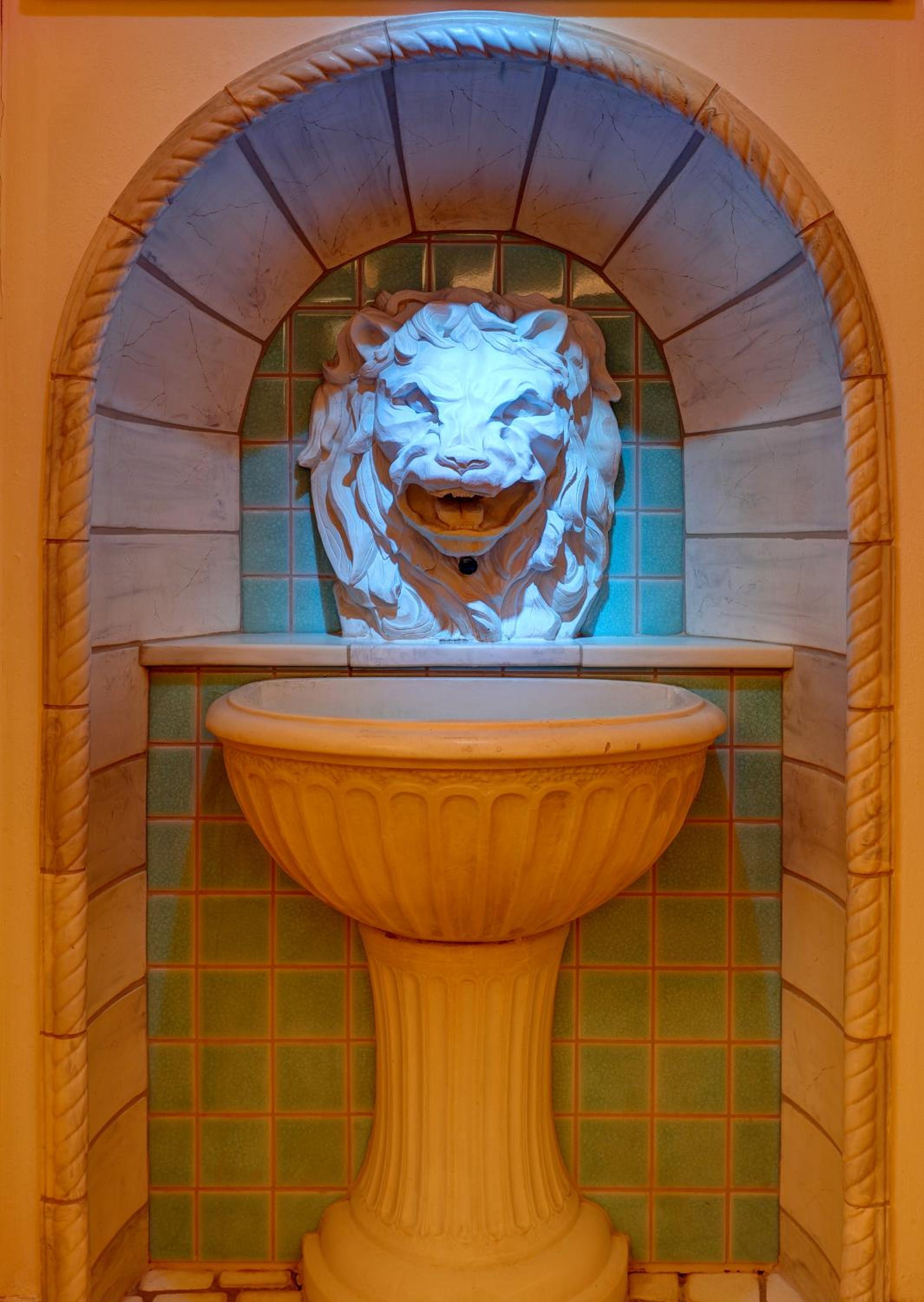 Photo 42
