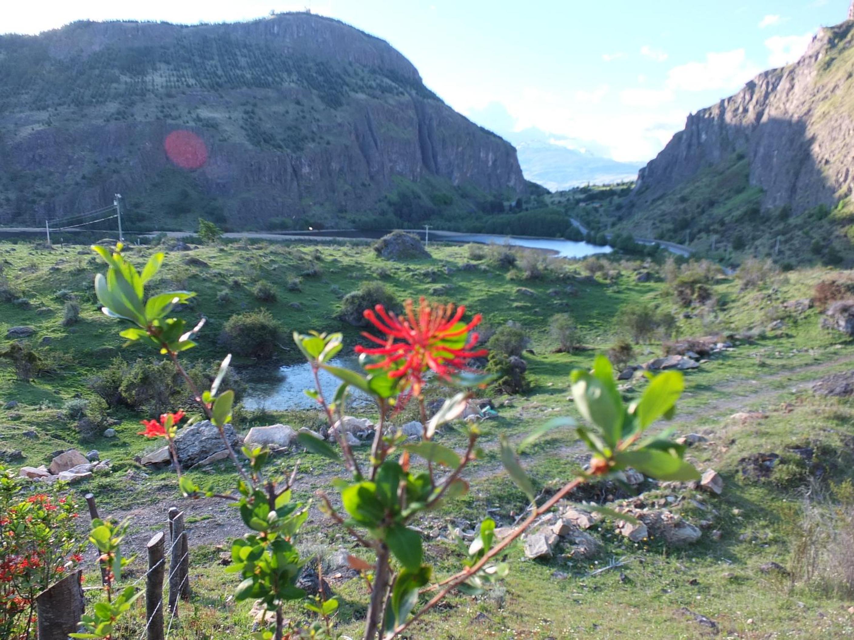 Domo Carpe diem Patagonia
