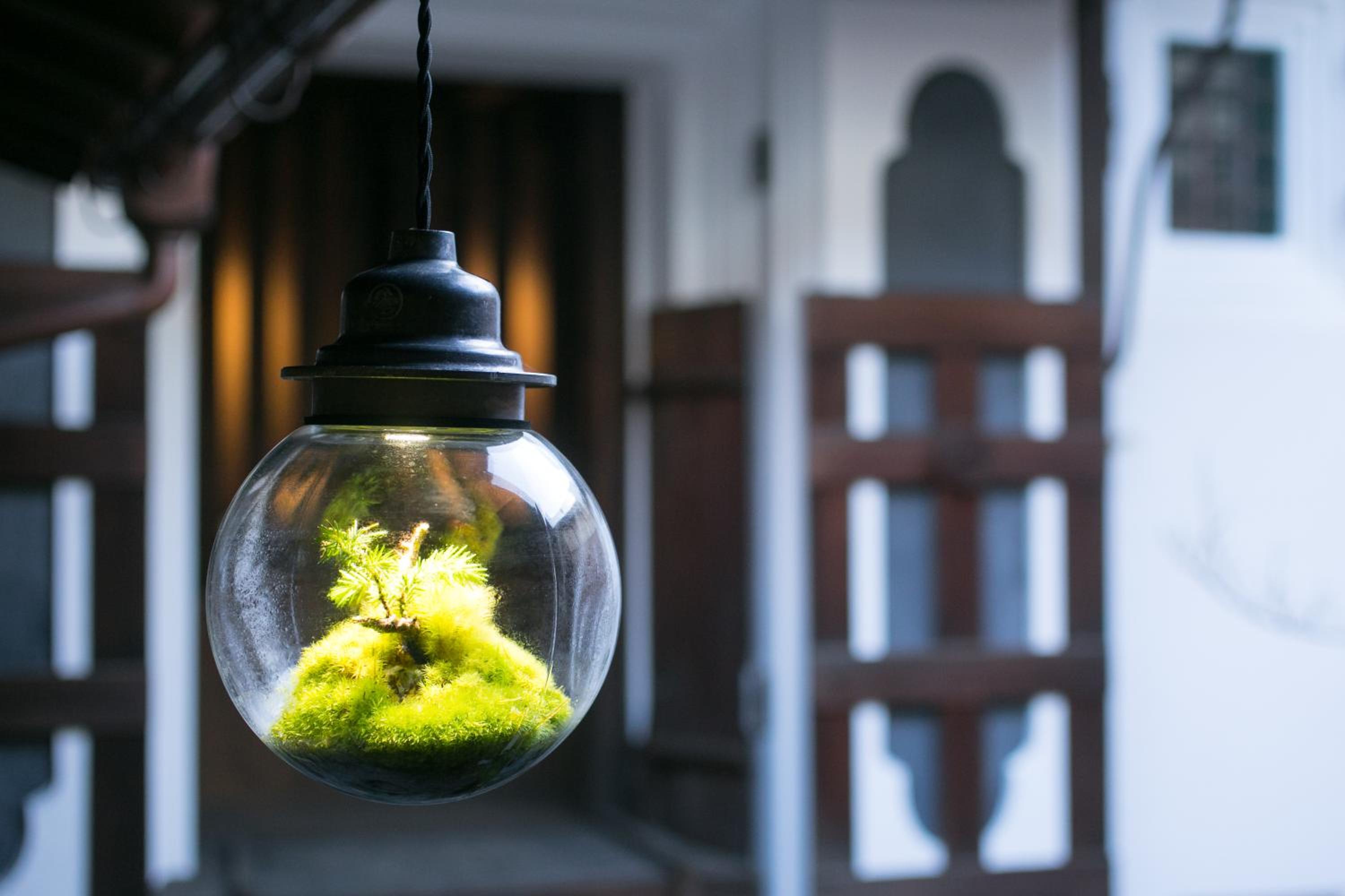 Ryokan Mugen (Adult Only)