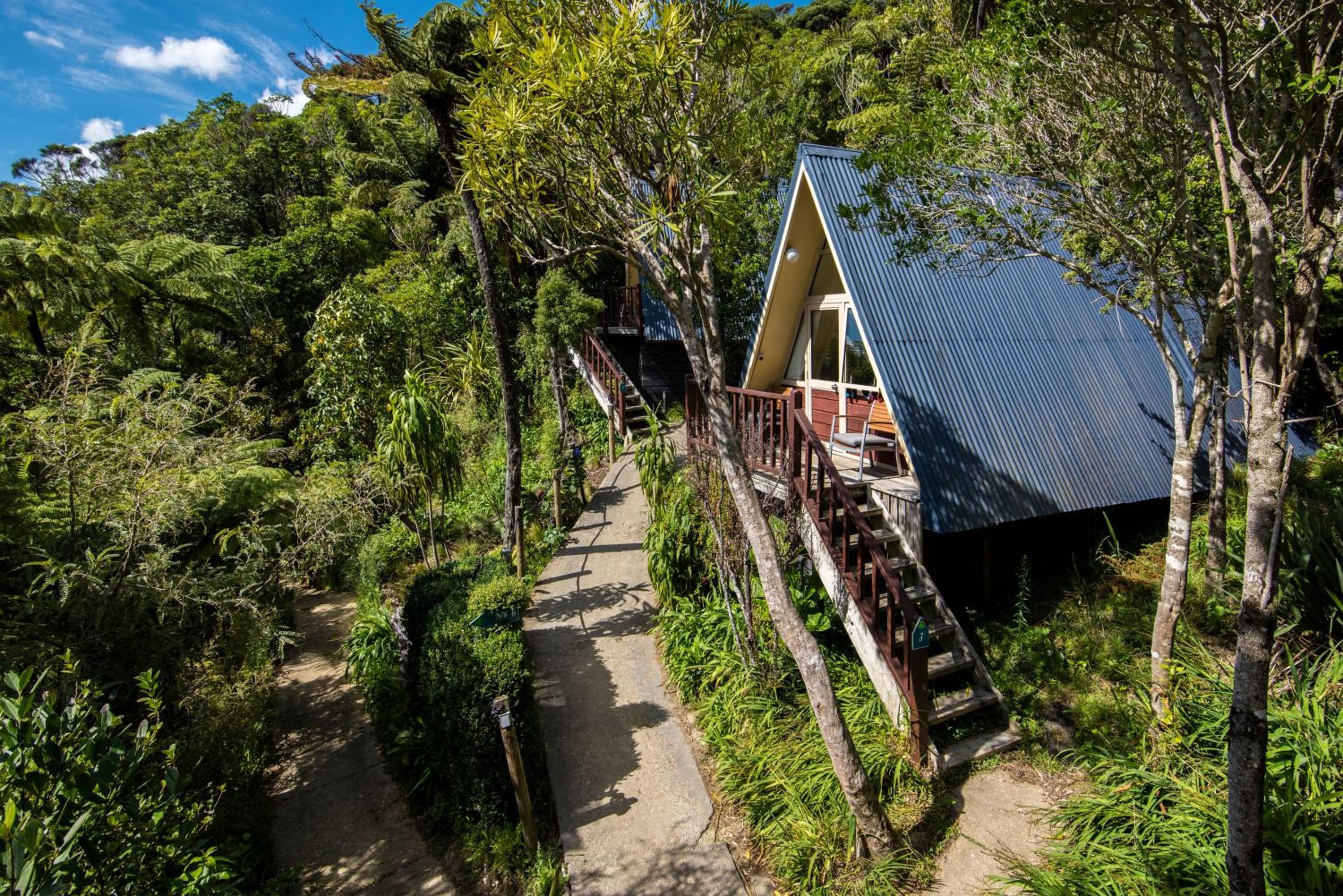 Punga Cove Resort 11
