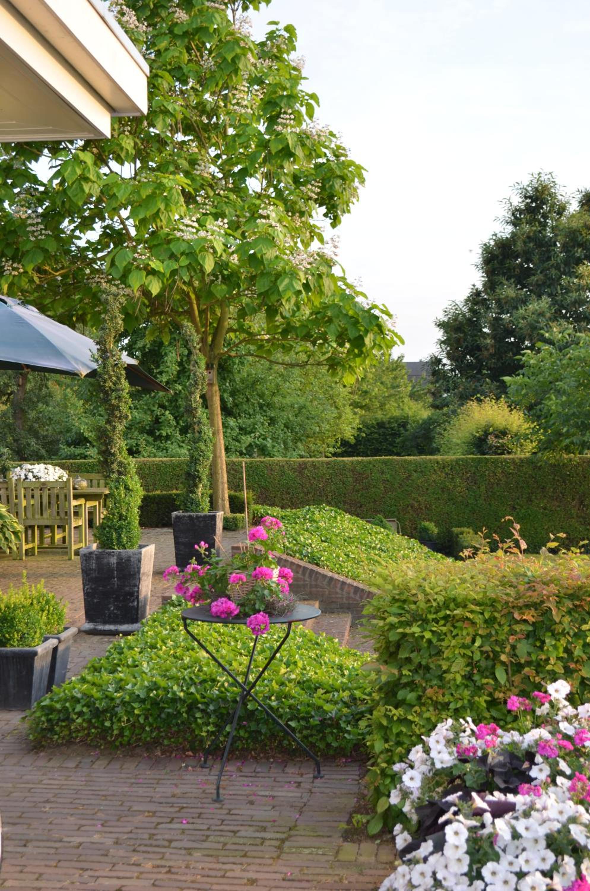 B&B De Rozenhorst view 3