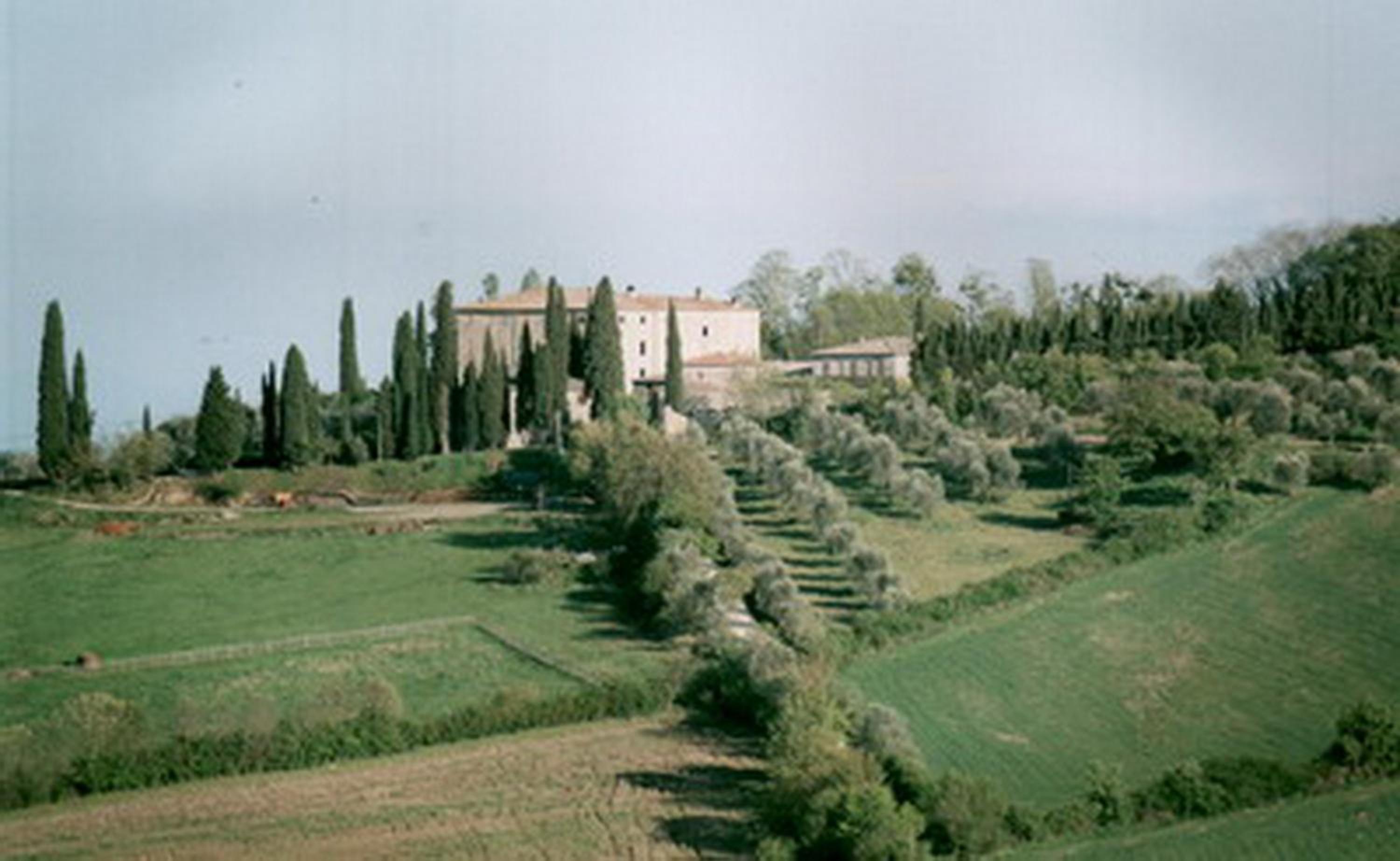 Photo 48