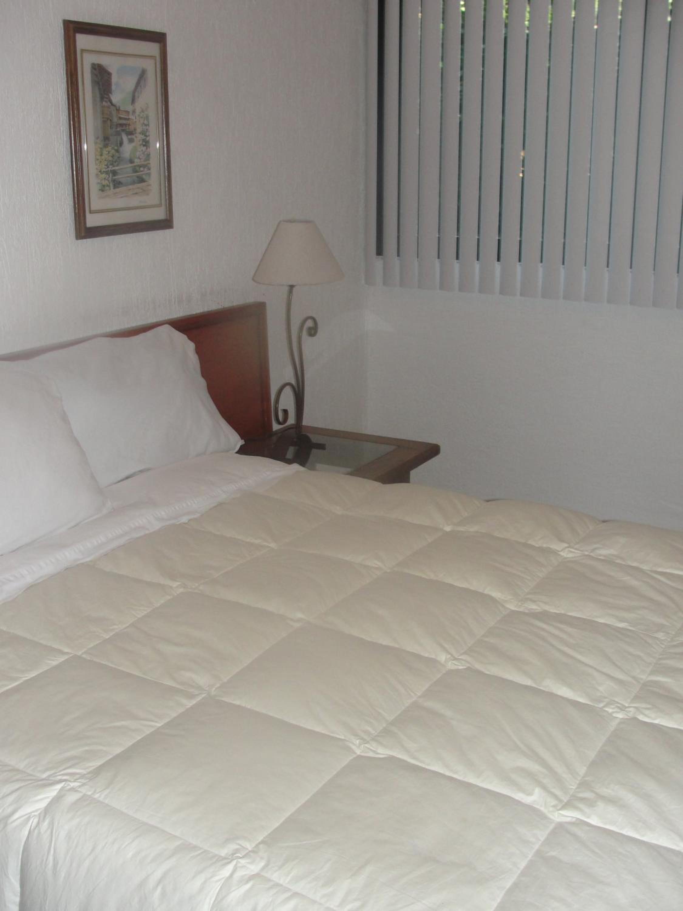 Steinhaus Suites Homero