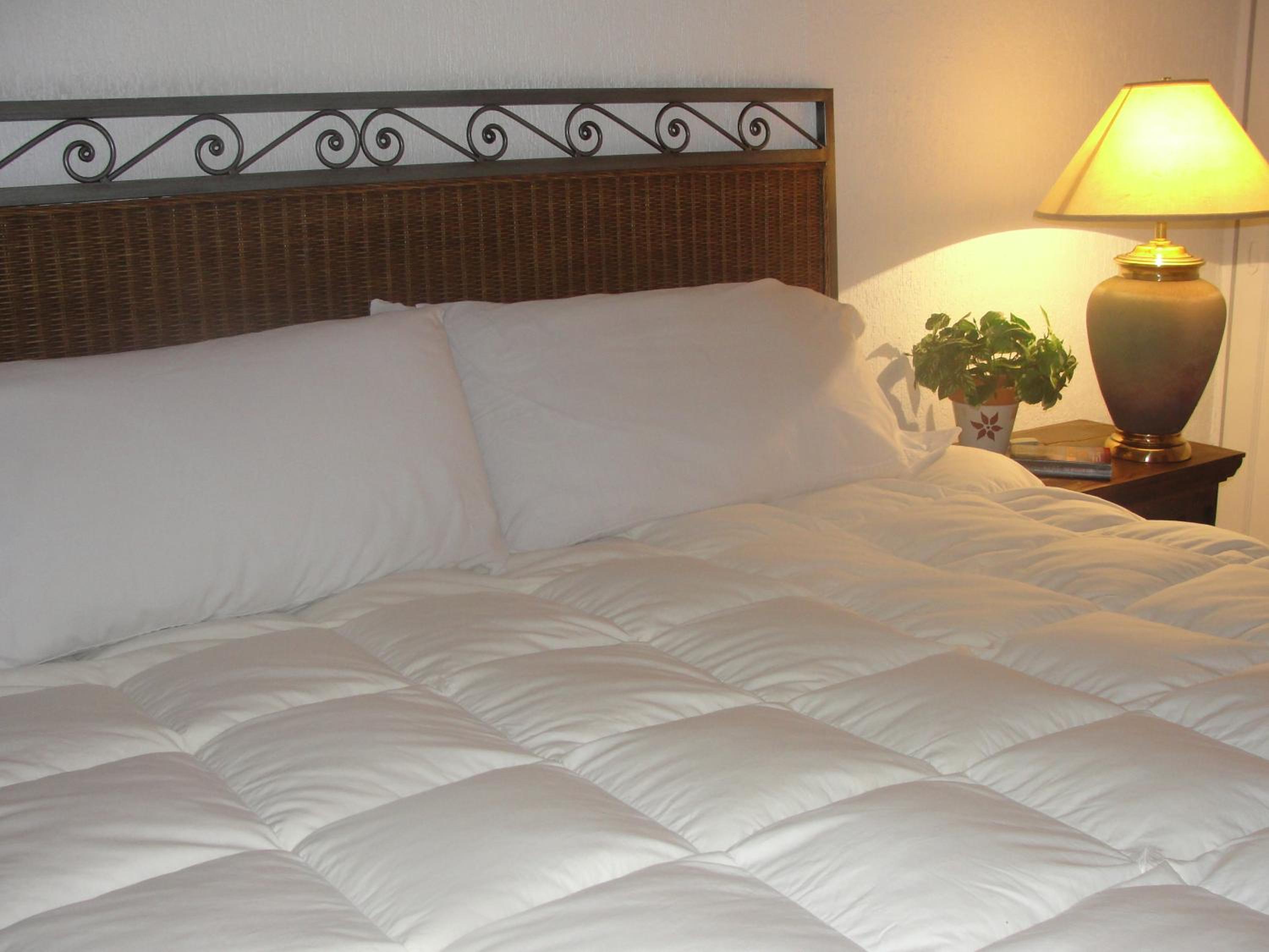 Steinhaus Suites Homero