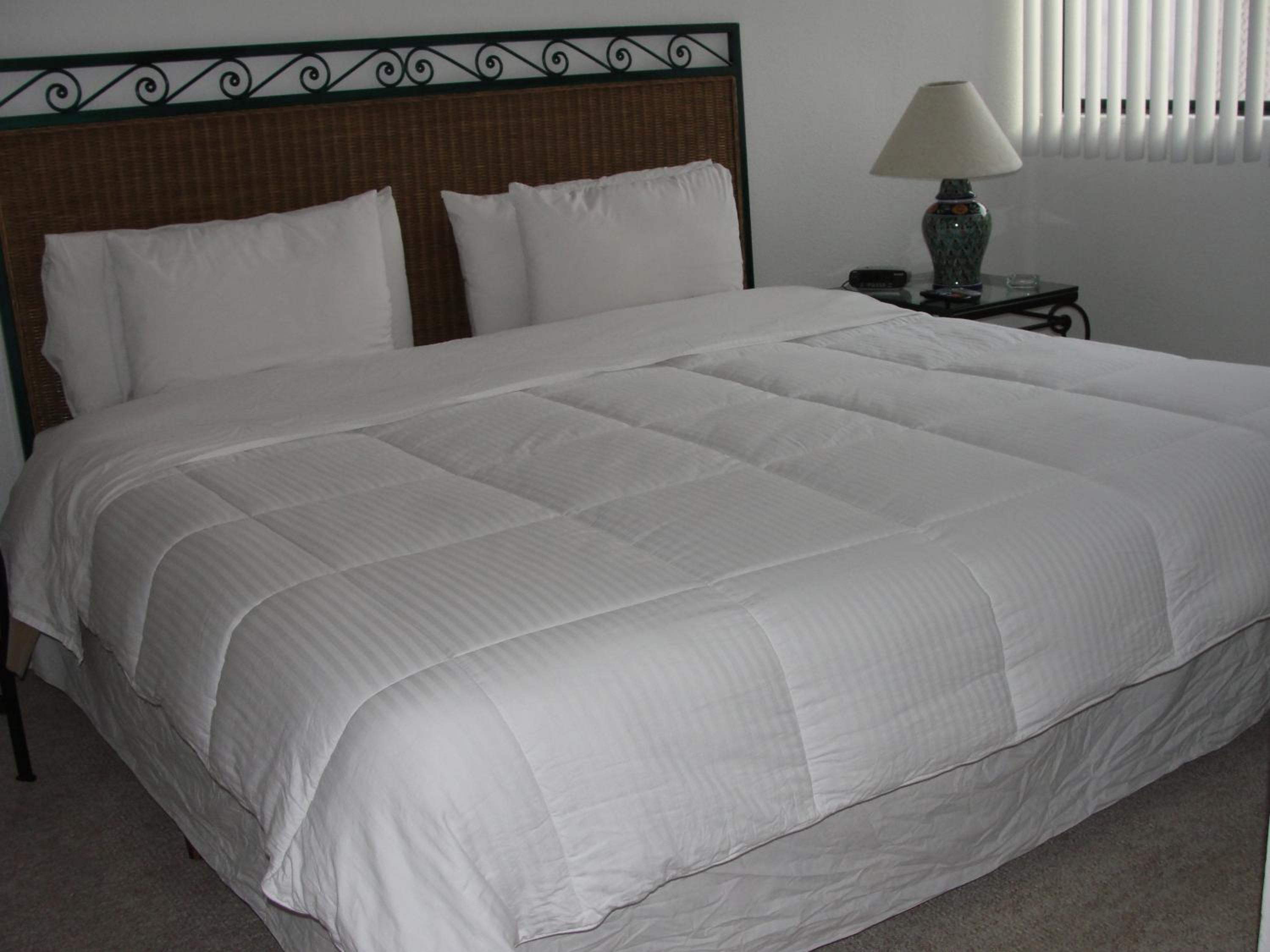 Steinhaus Suites Homero