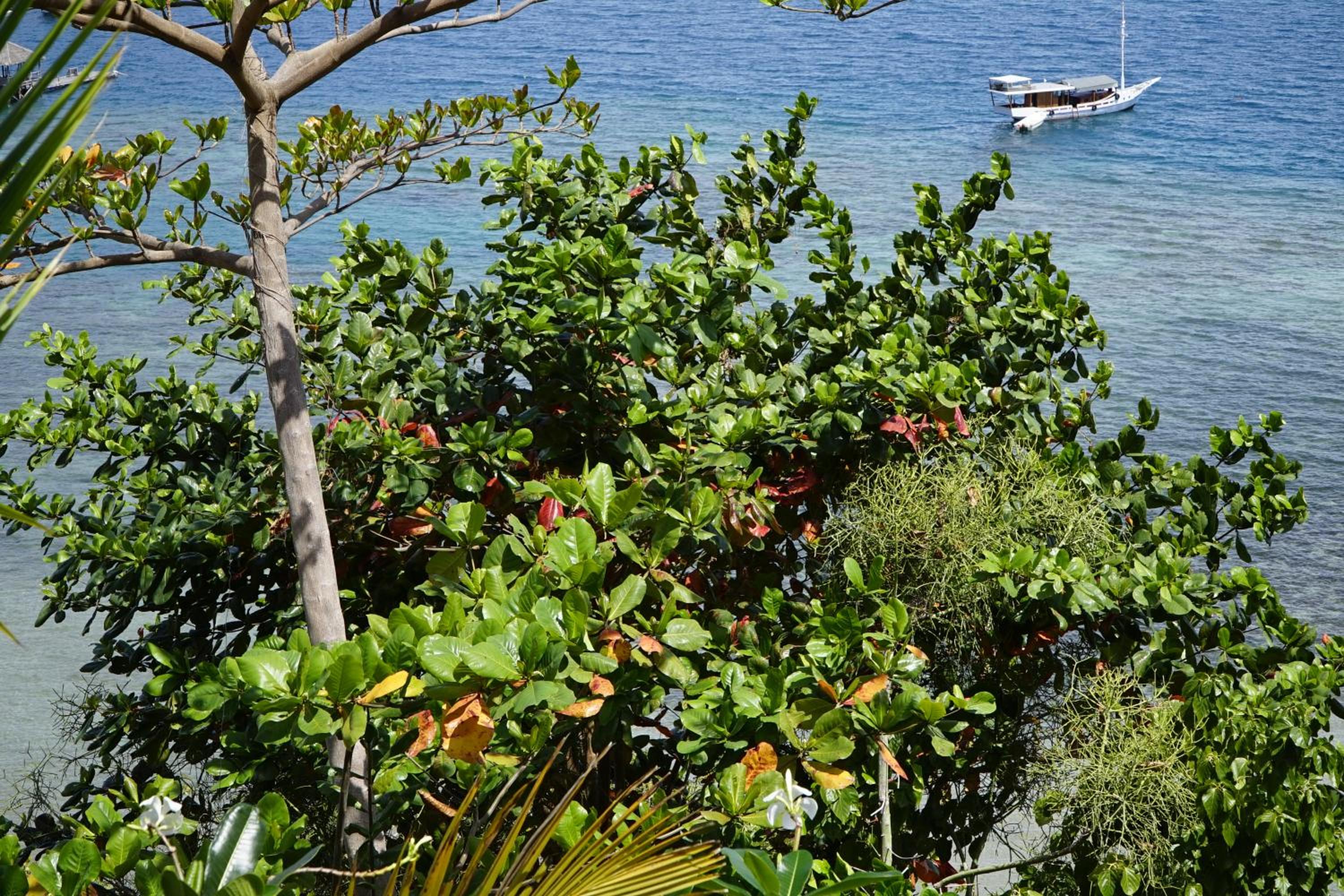 Waecicu Eden Beach Hotel