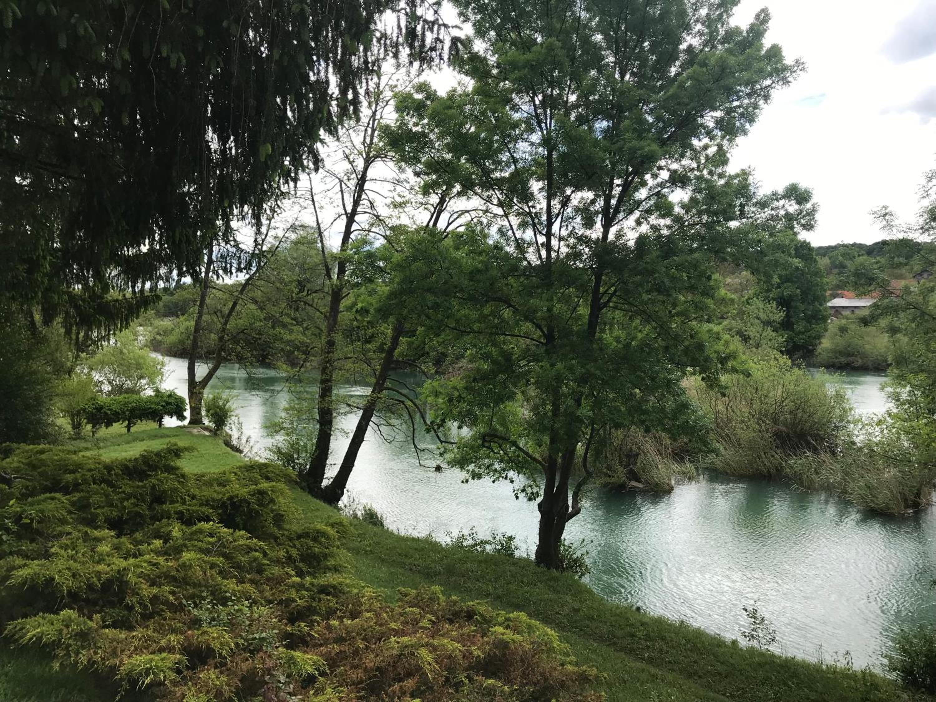 Photo 41