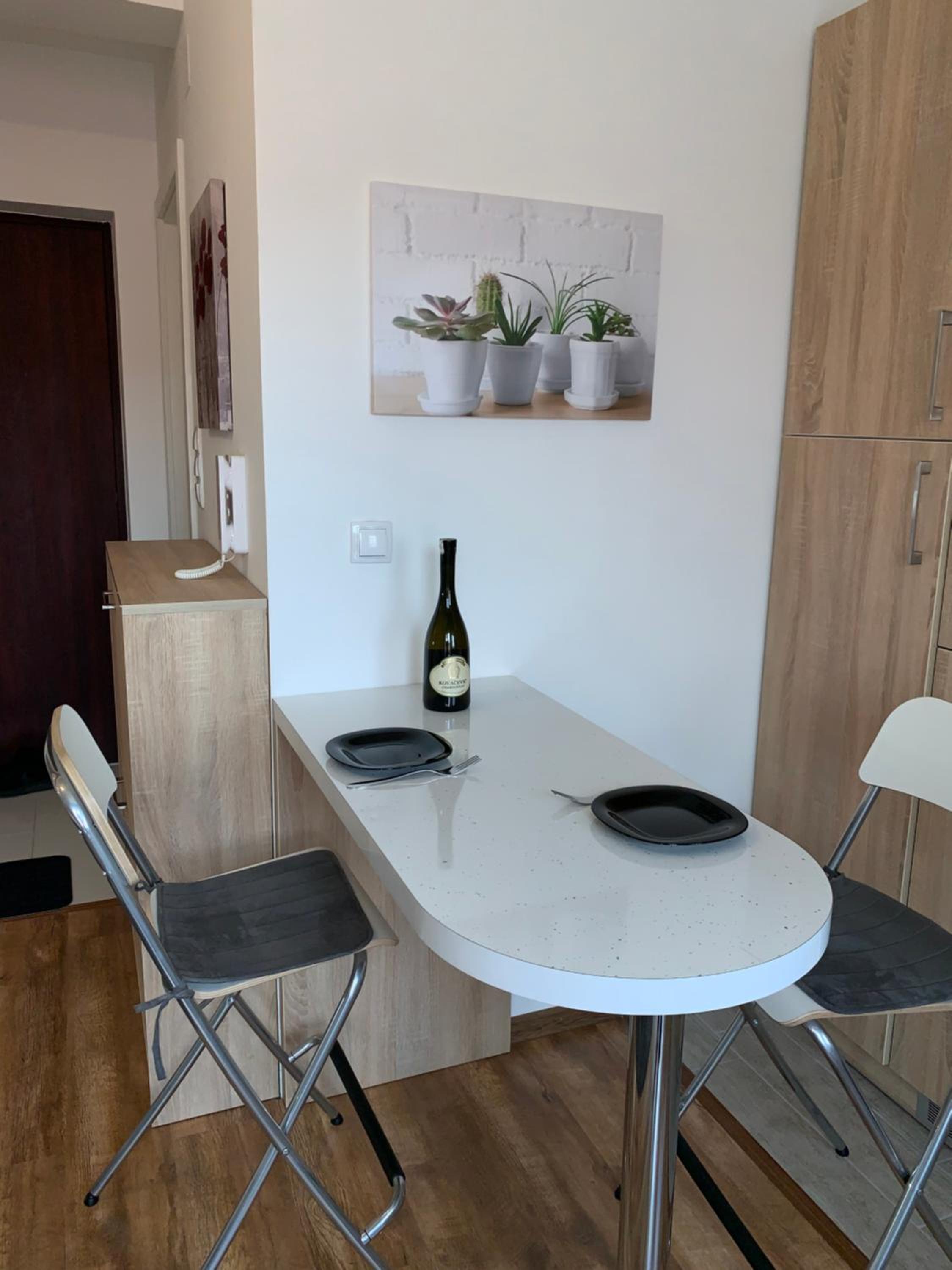 Maša Studio Apartman view 3