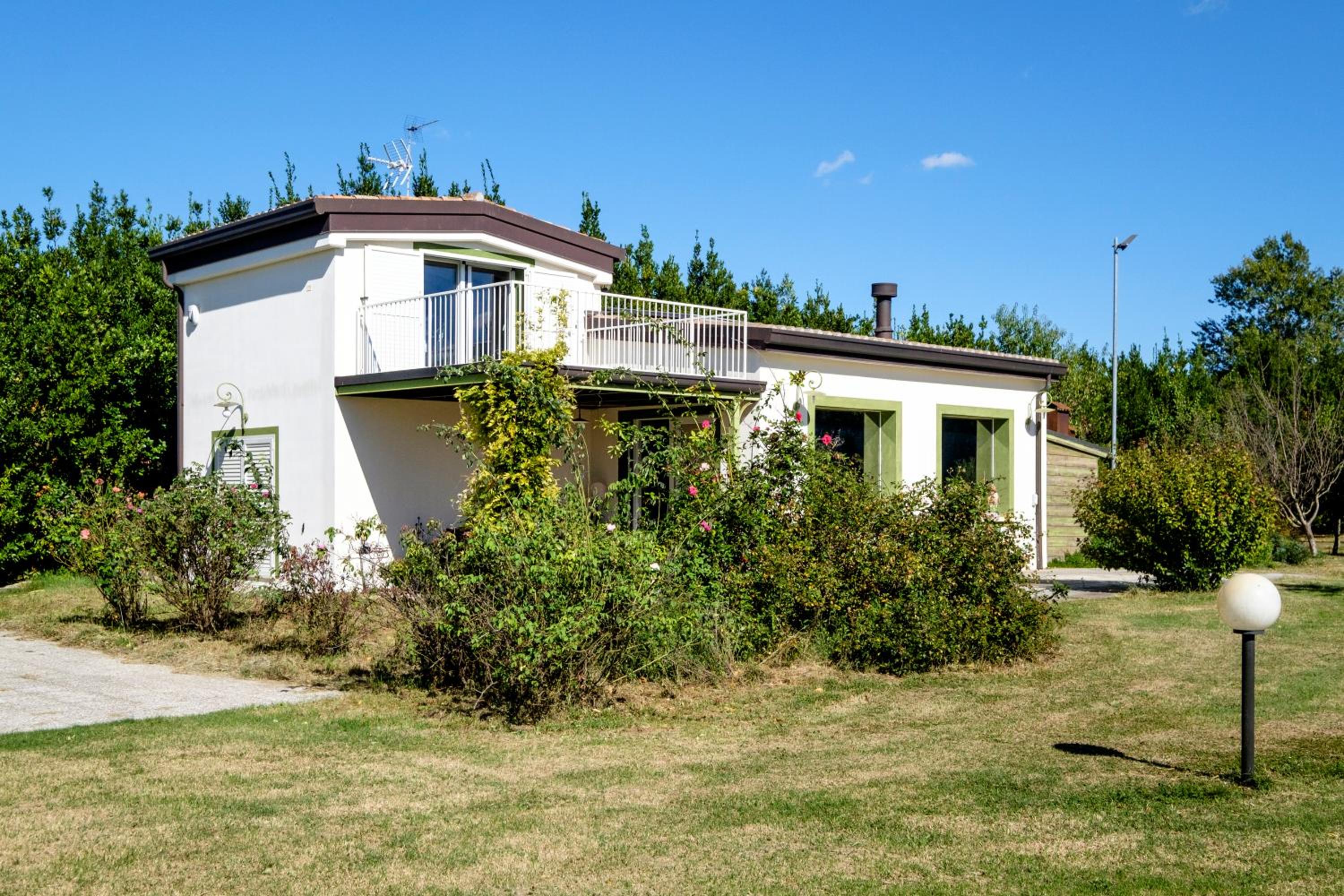 Photo 35