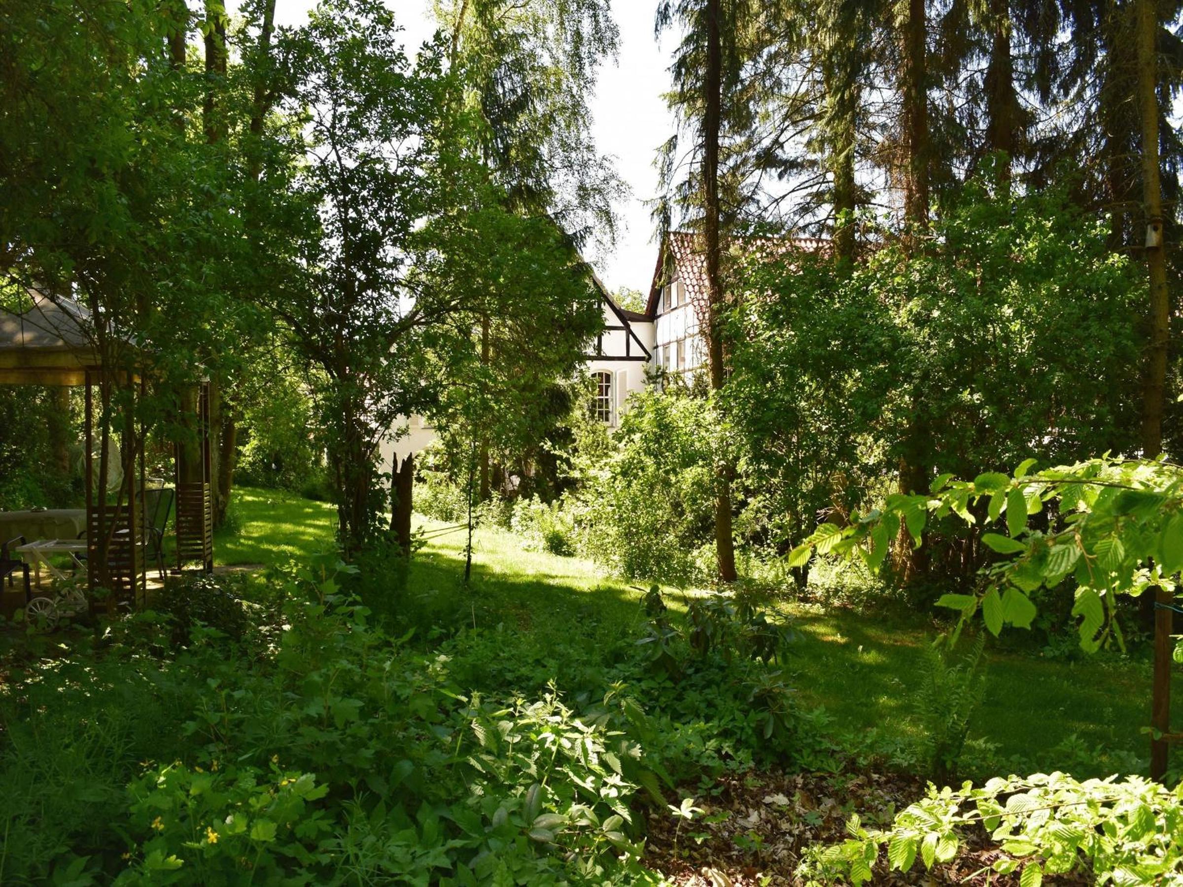 Photo 40