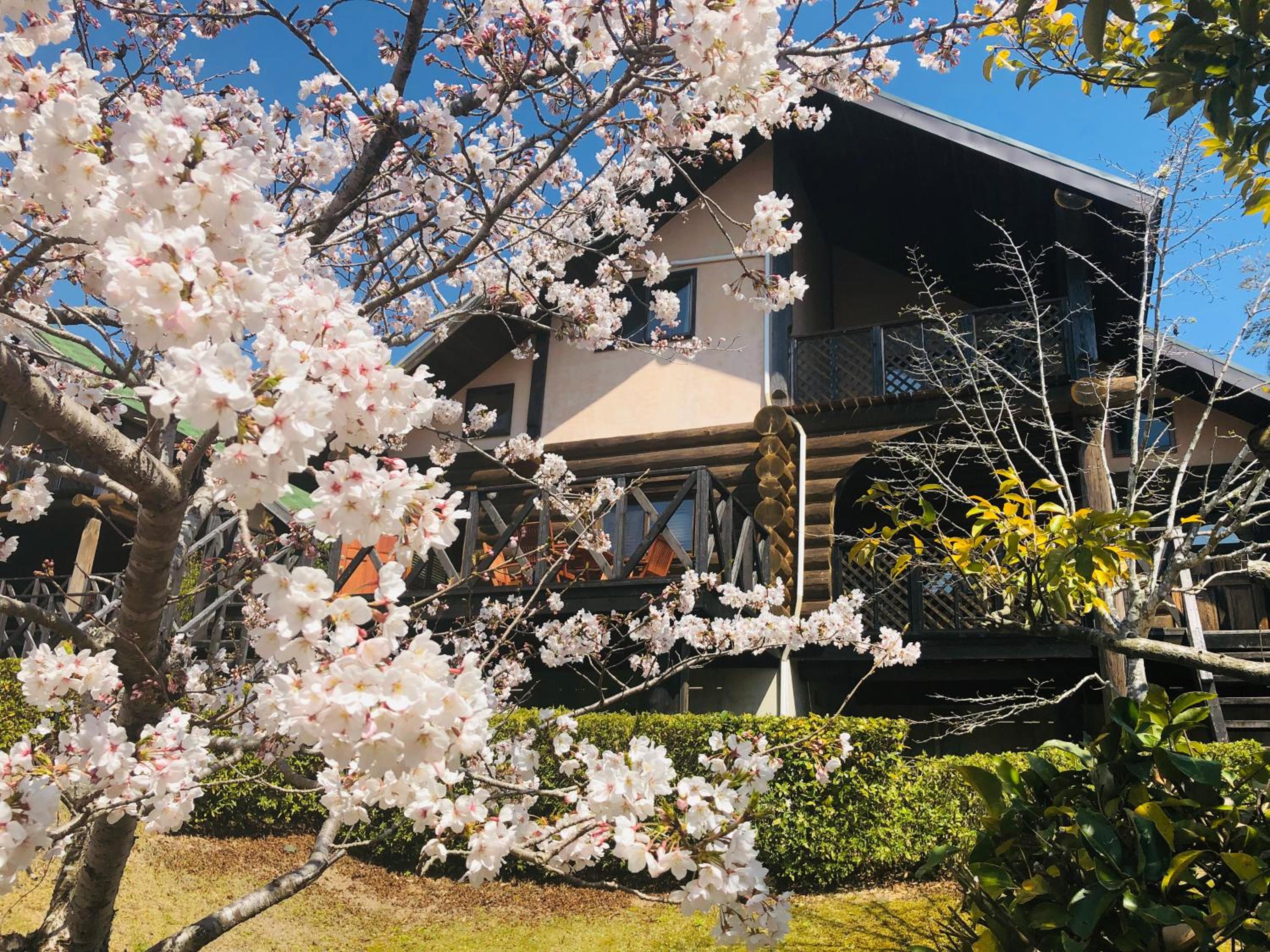 Fiore Shima
