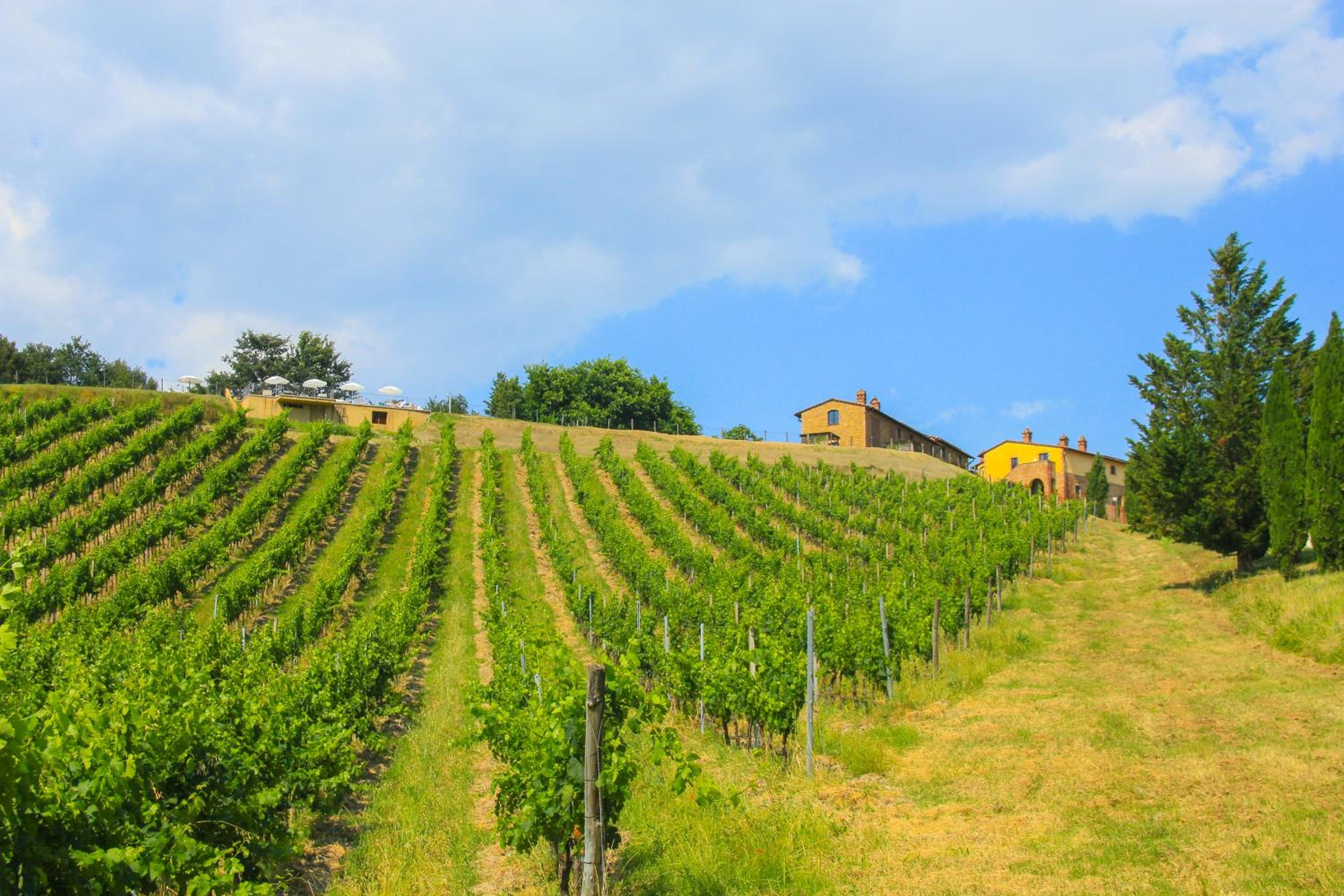 Colle Bertini