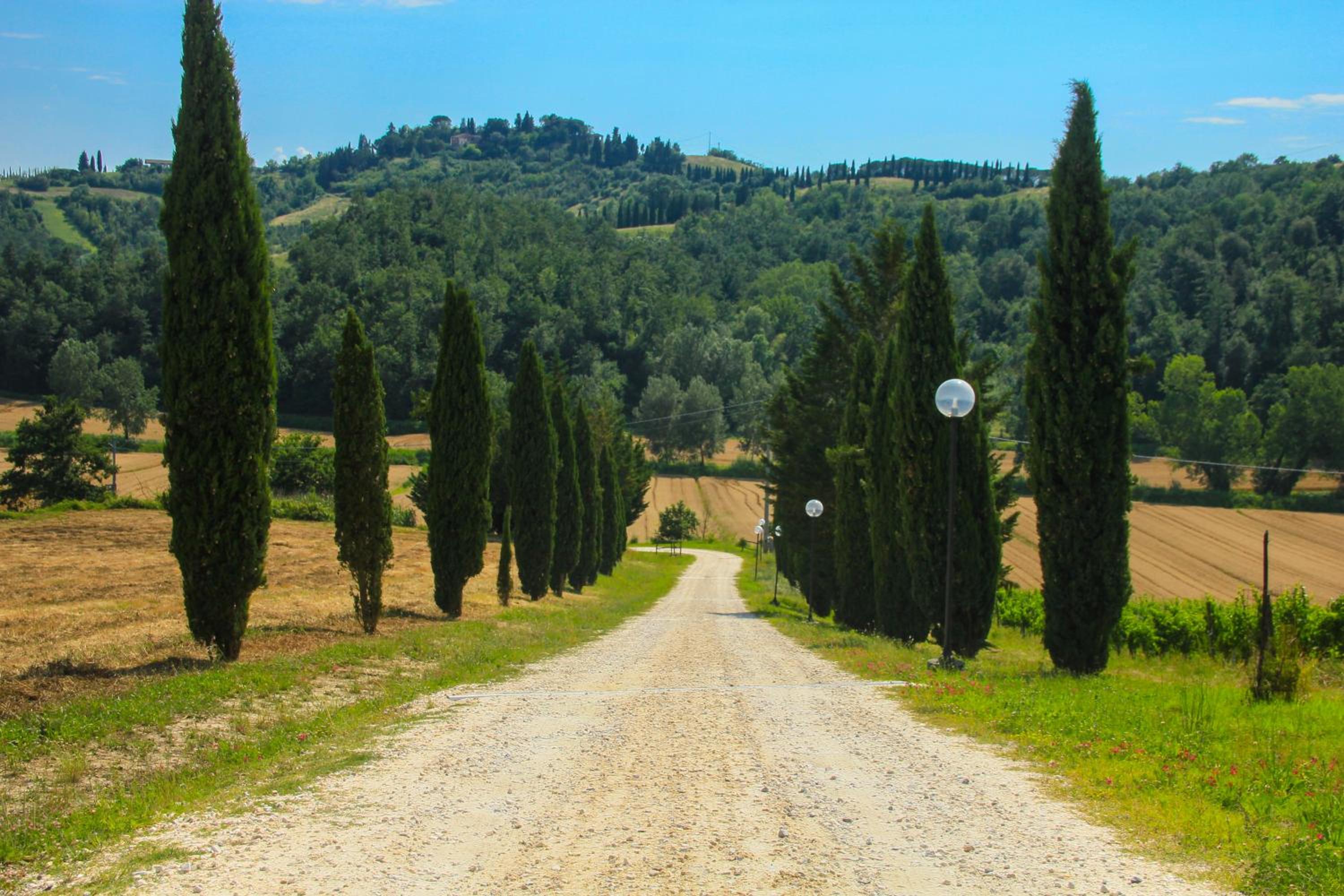 Colle Bertini