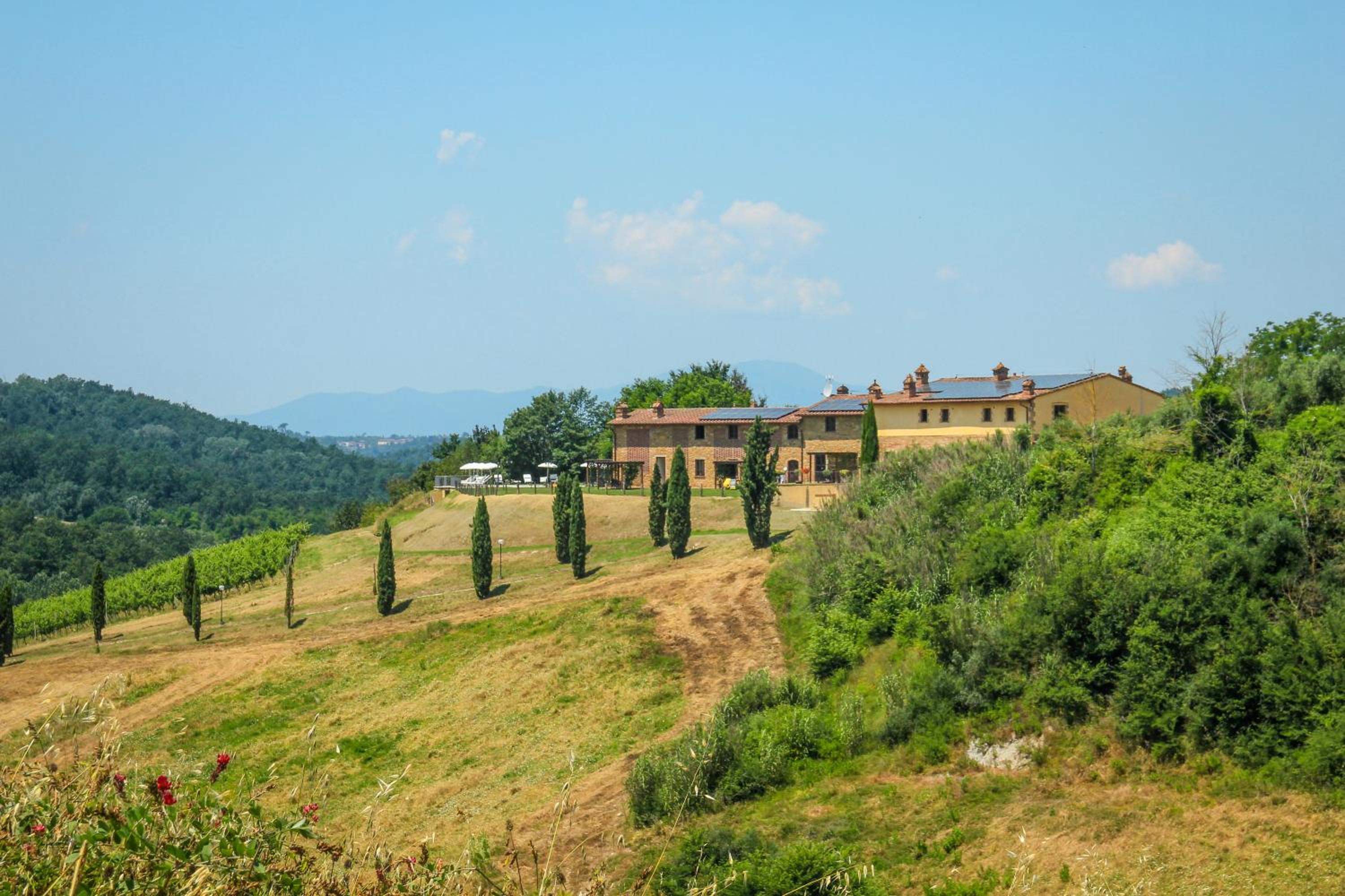 Colle Bertini